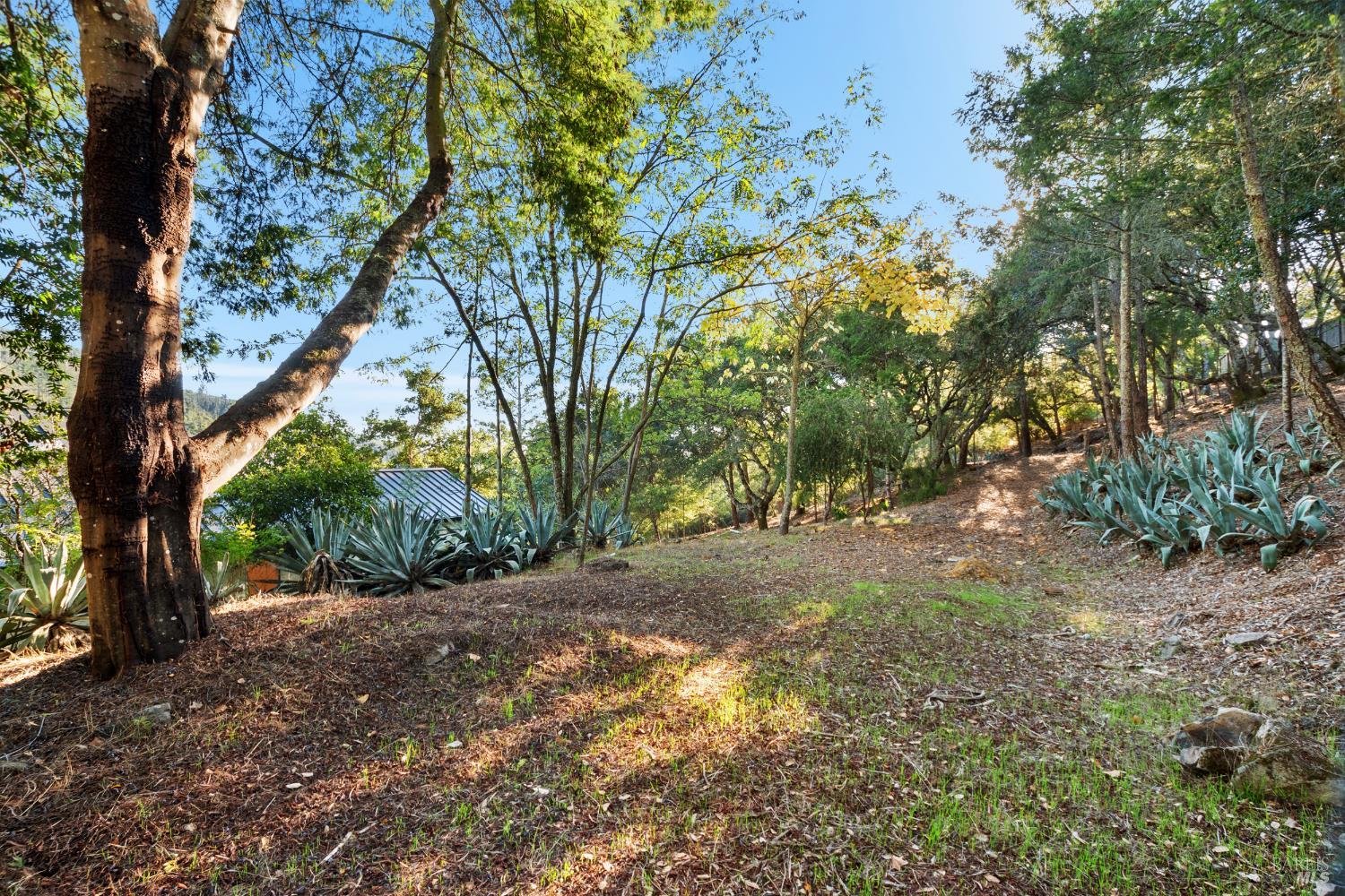 12303 Margie Lane