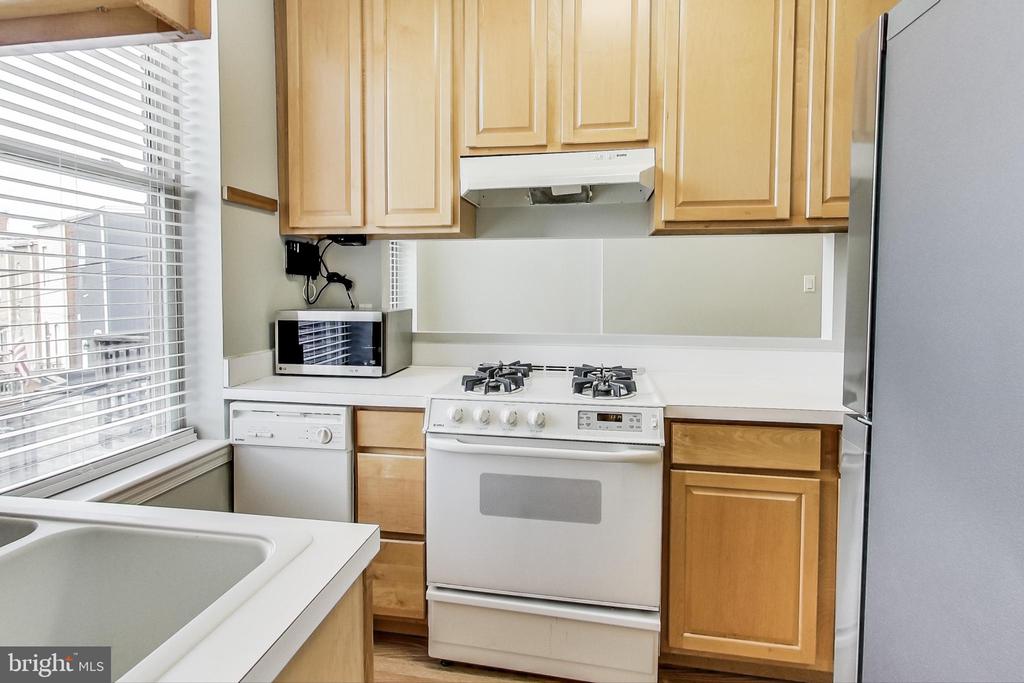 1248 MARYLAND AVENUE NE Unit: 2