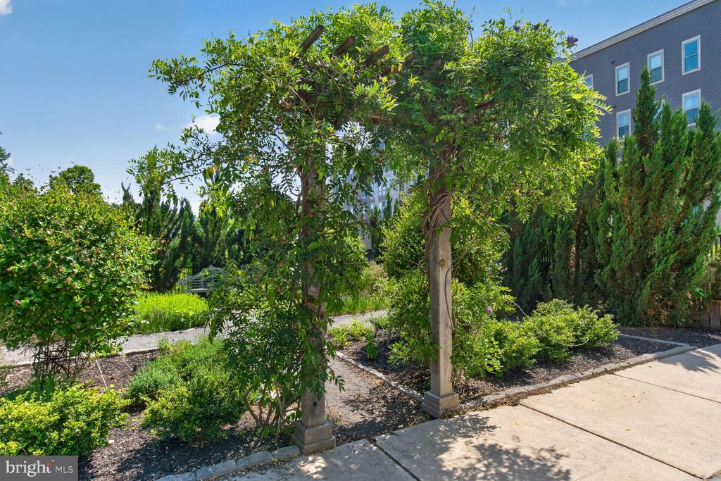 6127 OLIVET DRIVE