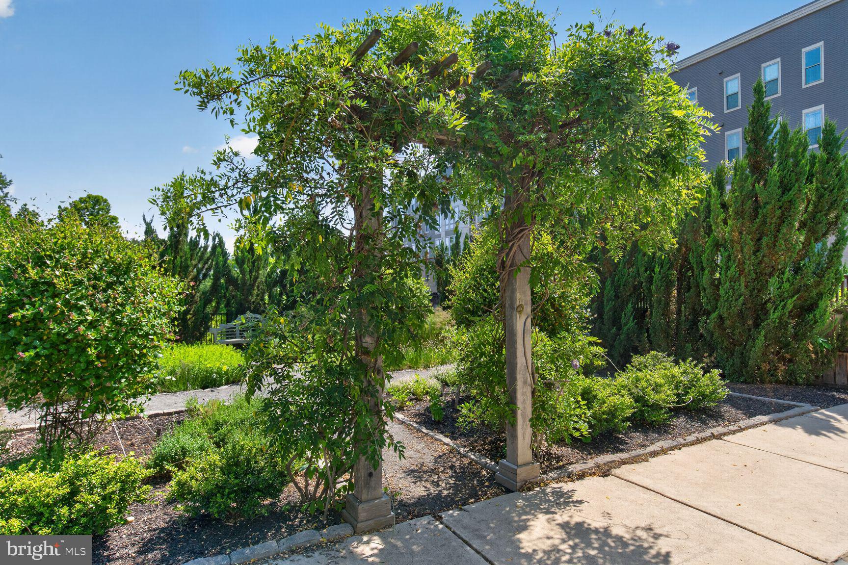 6127 OLIVET DRIVE