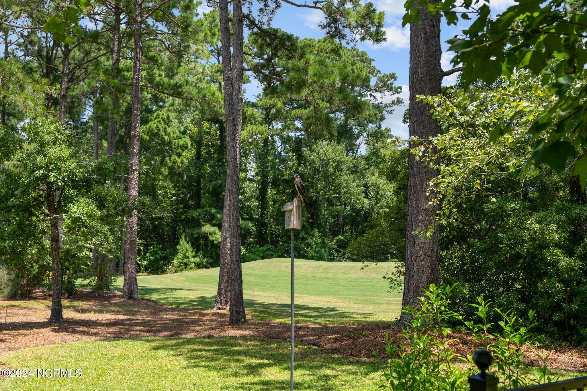 3582 Ruddy Duck Wynd