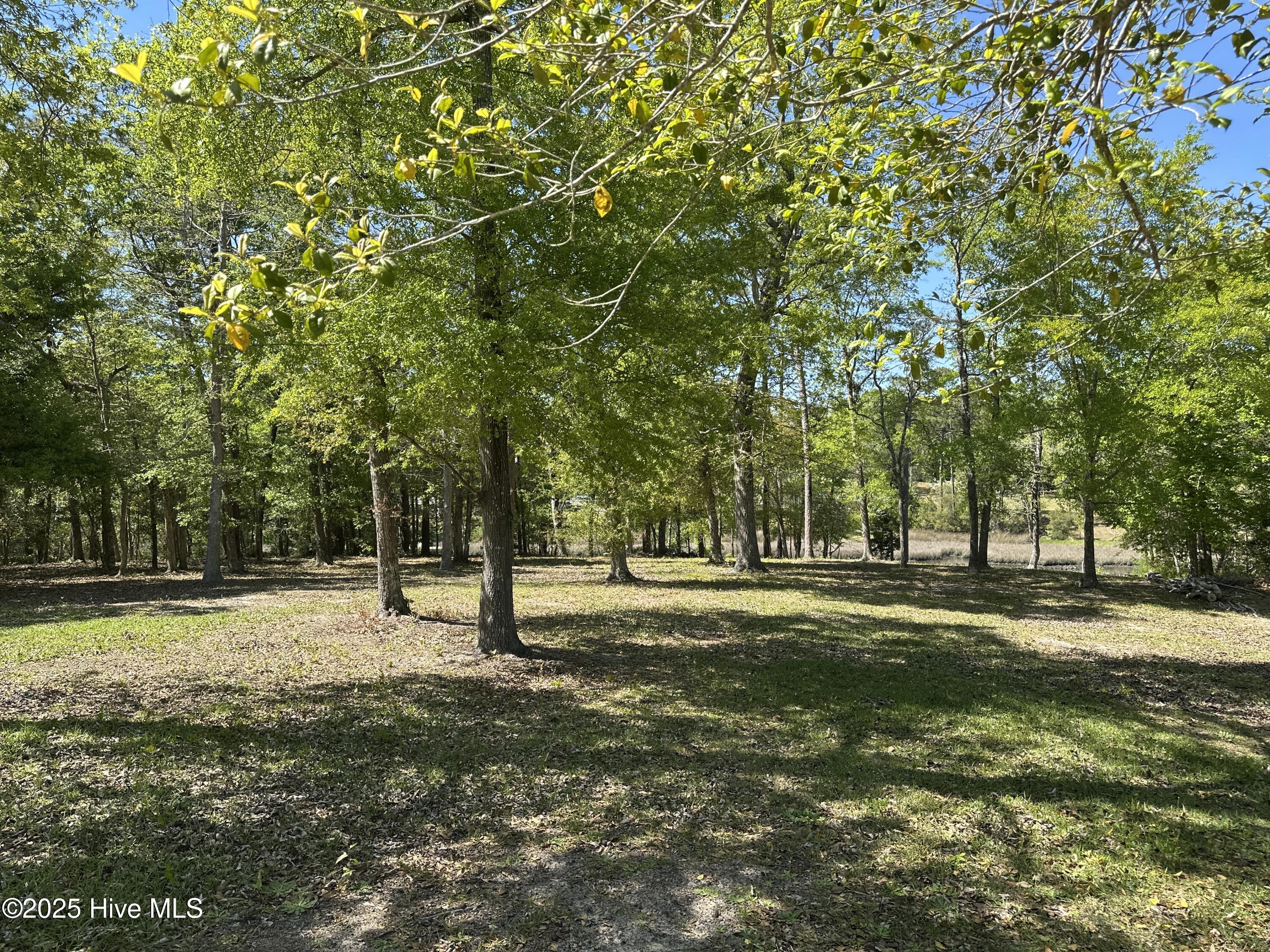 106 Hollihaven Drive