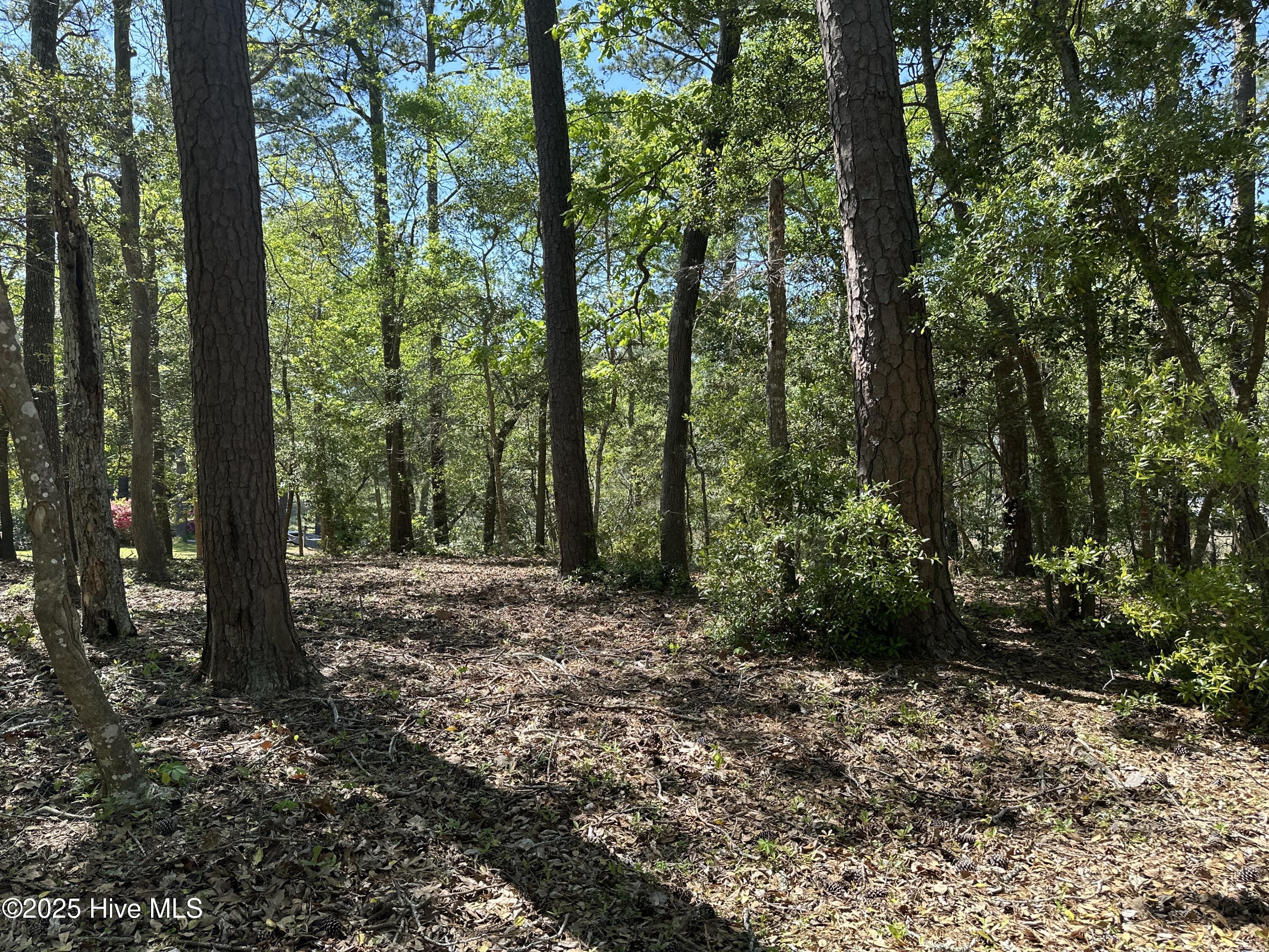 106 Hollihaven Drive