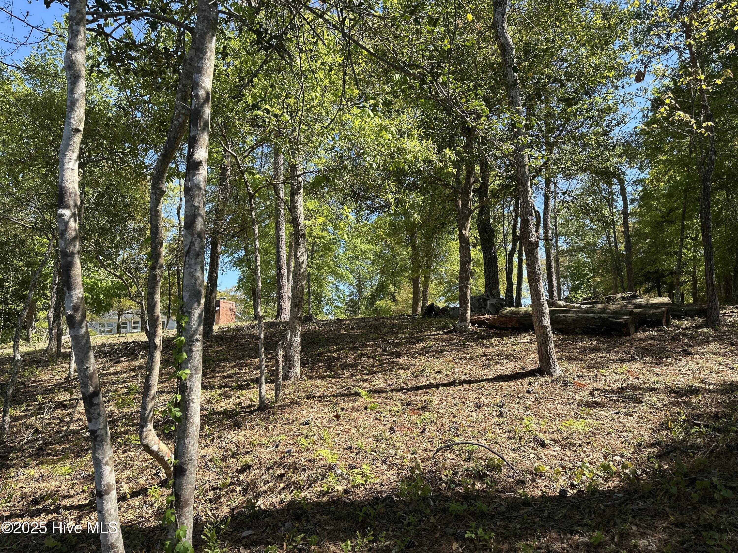 106 Hollihaven Drive