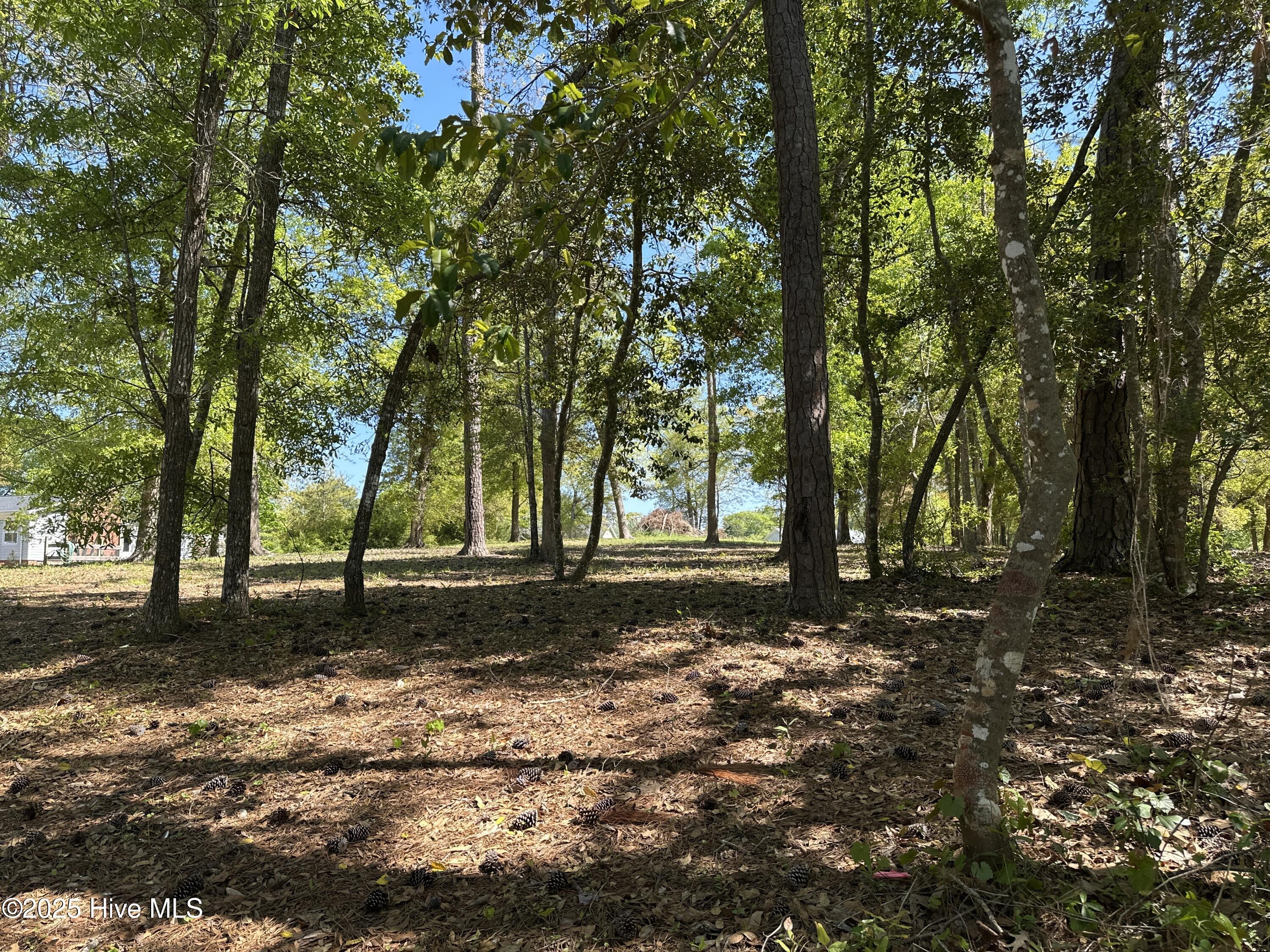 106 Hollihaven Drive