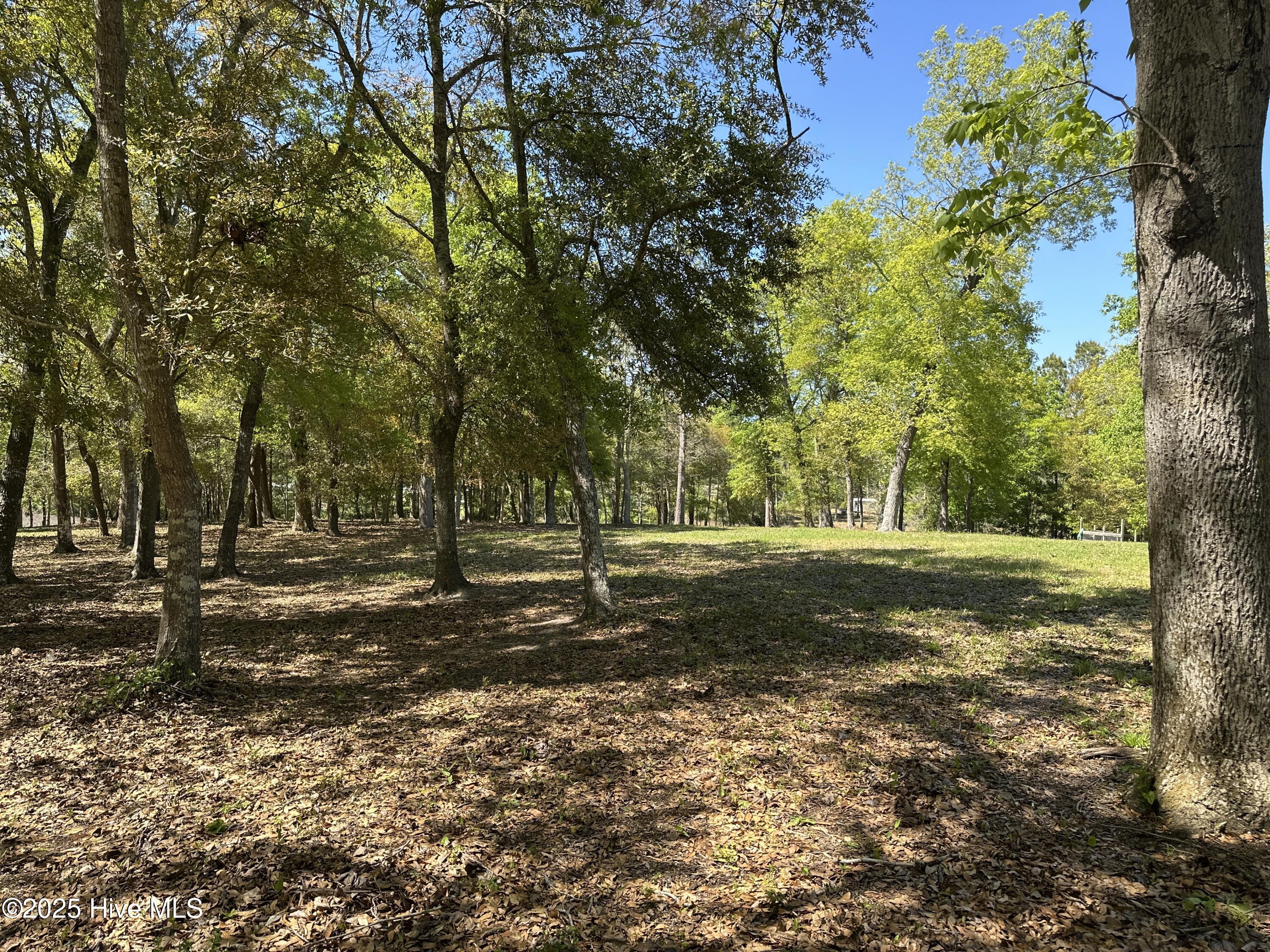 106 Hollihaven Drive