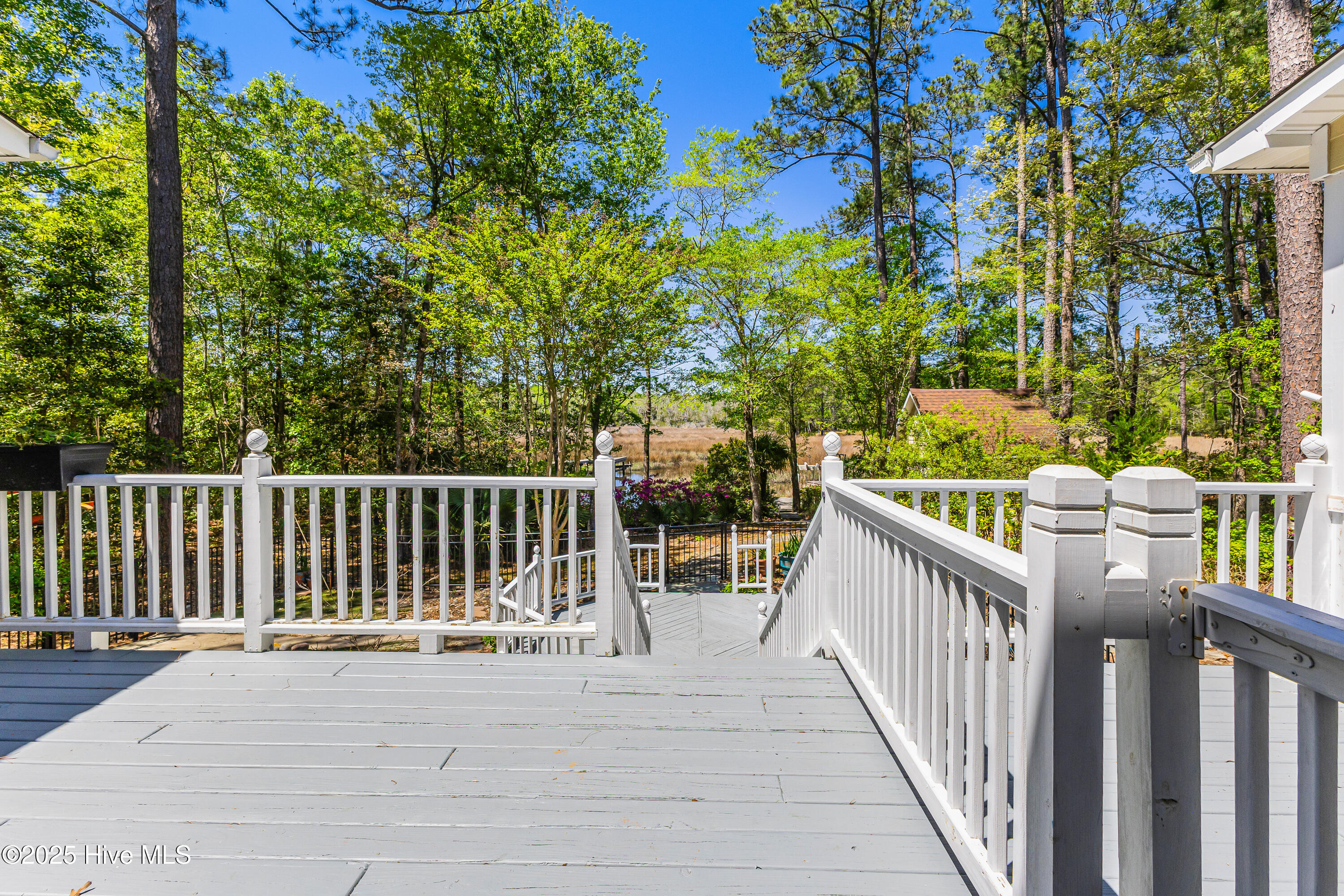 117 Canvasback Point