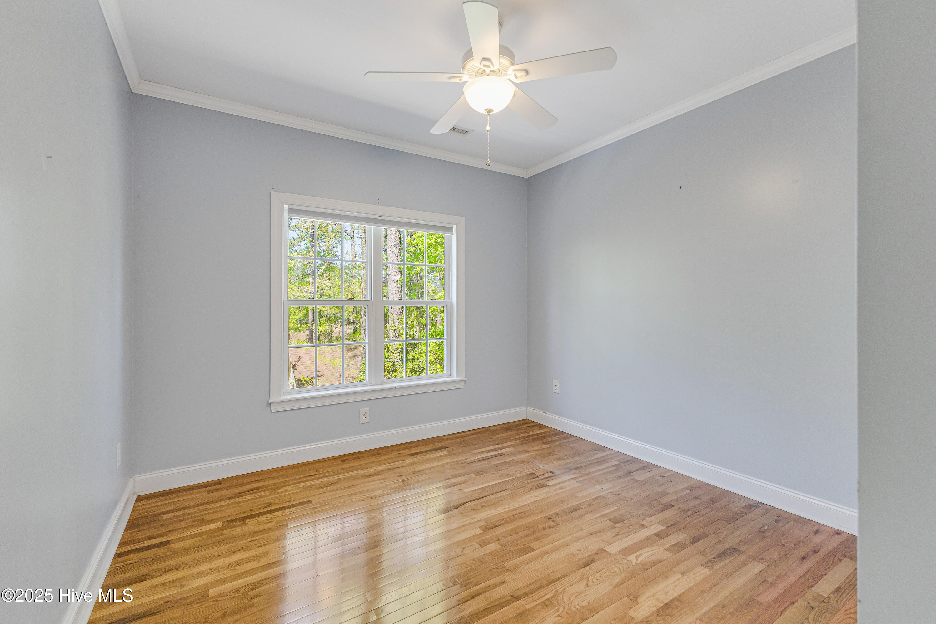 117 Canvasback Point