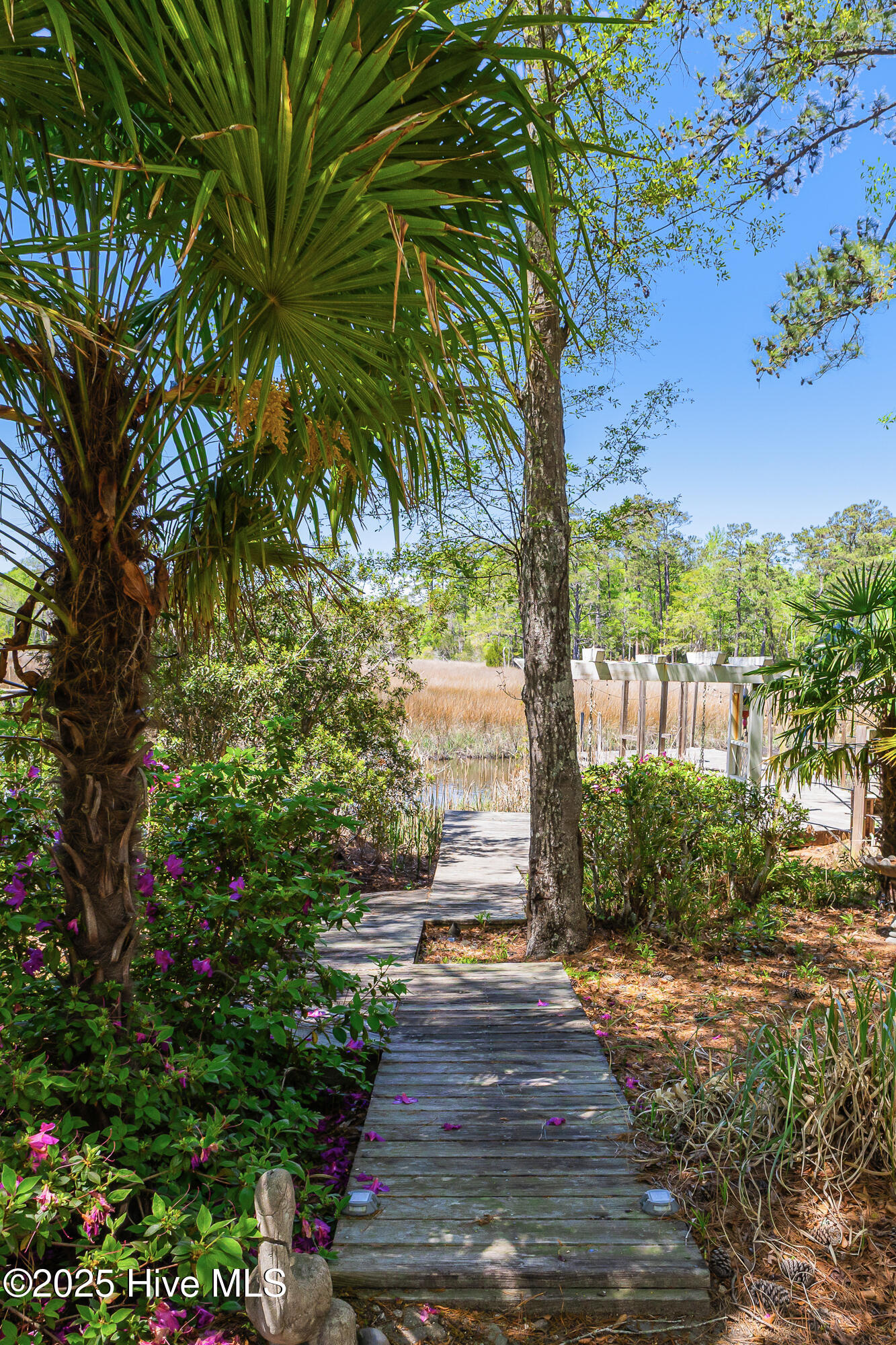 117 Canvasback Point