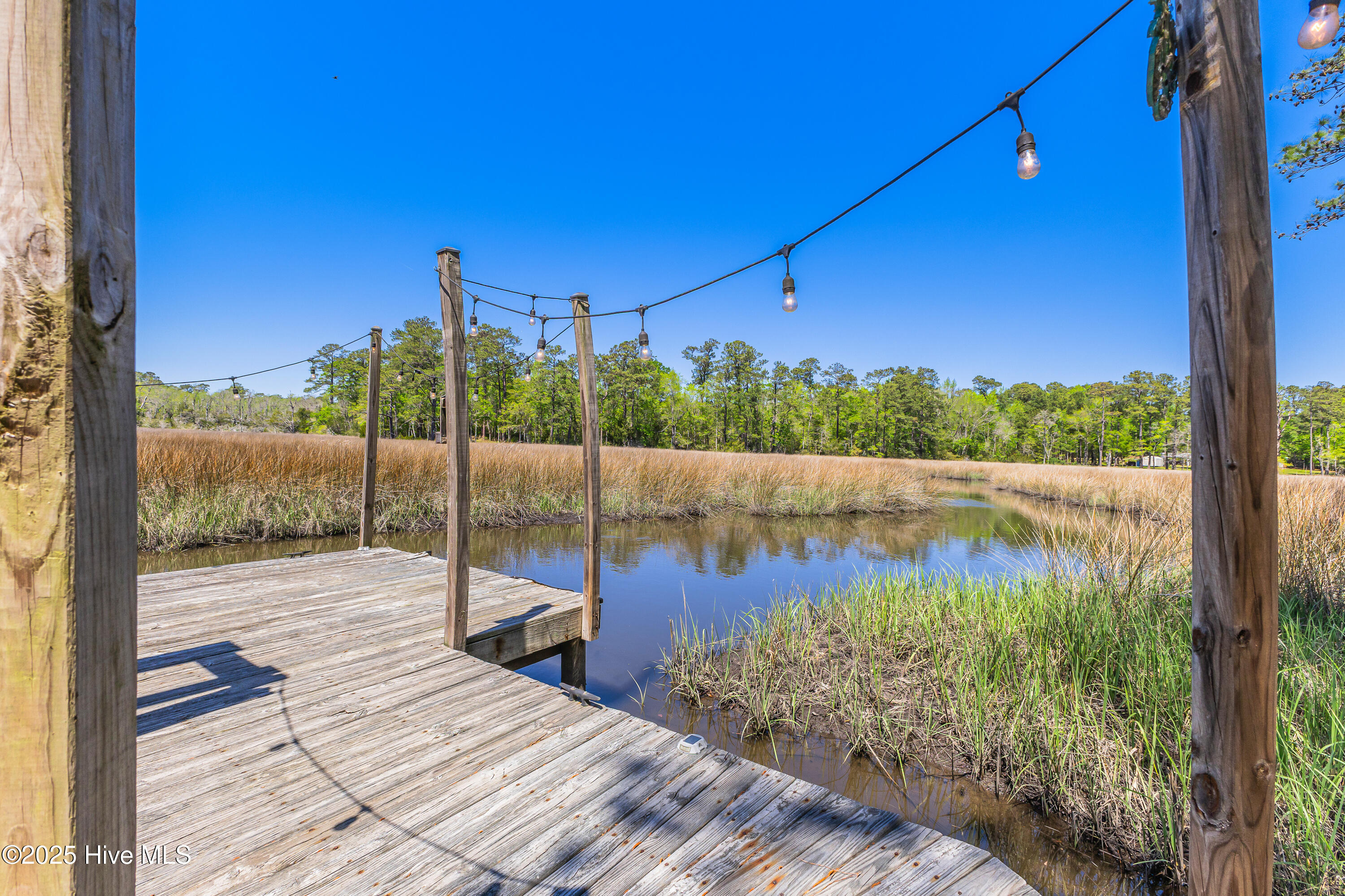 117 Canvasback Point