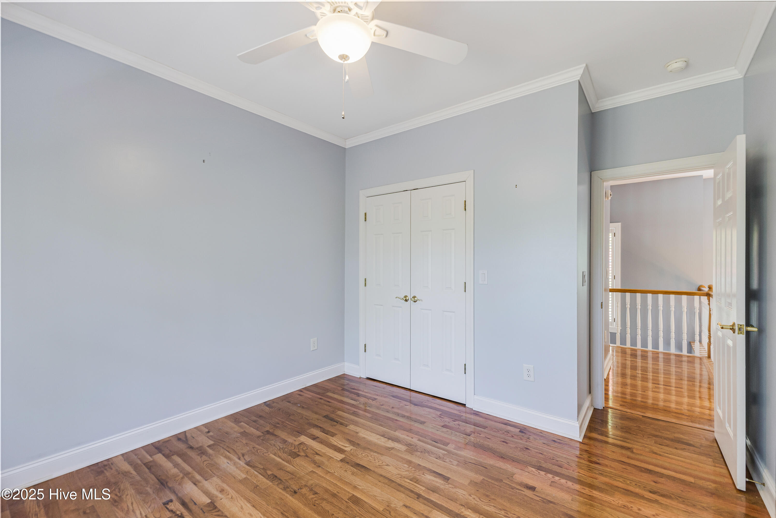 117 Canvasback Point