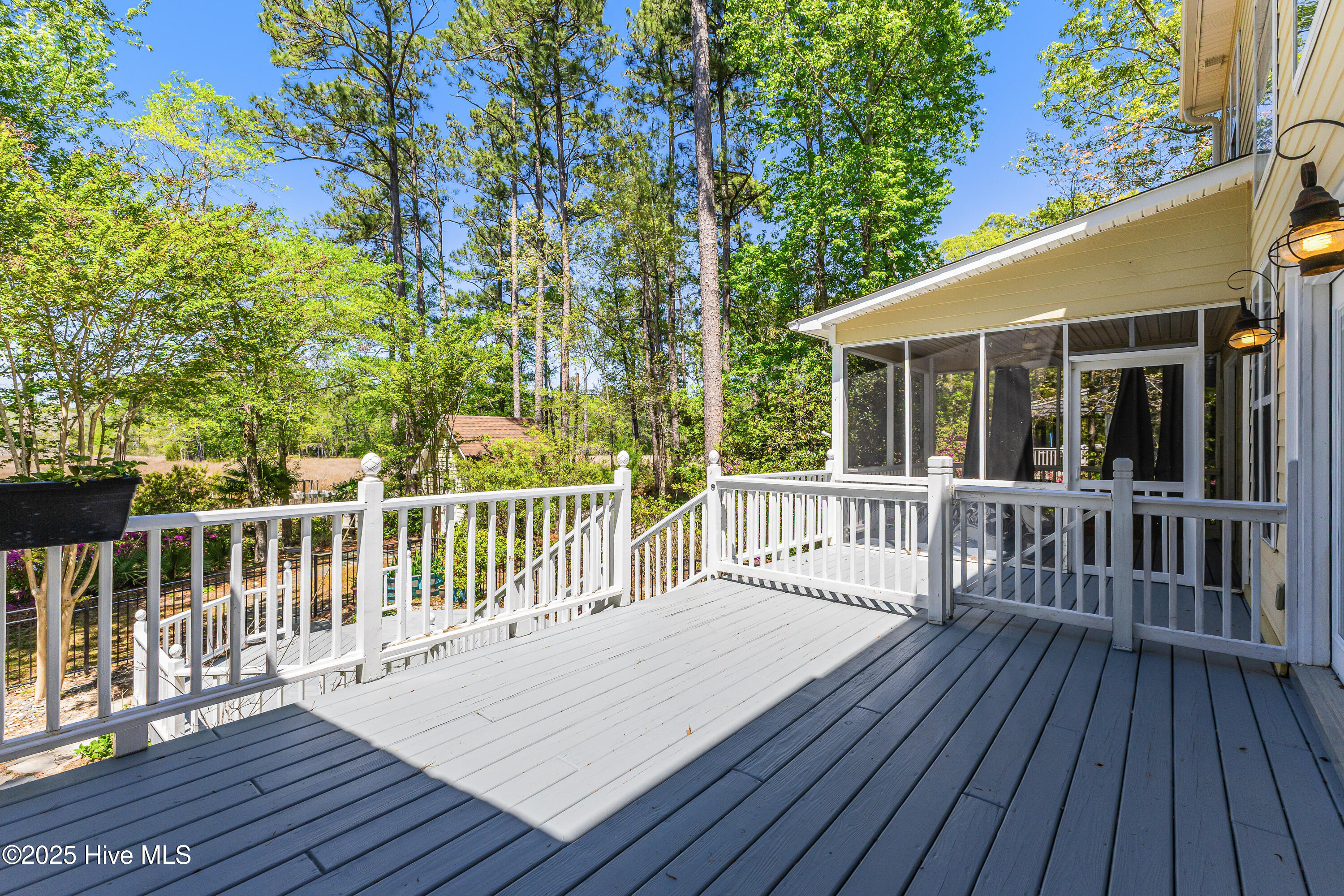 117 Canvasback Point