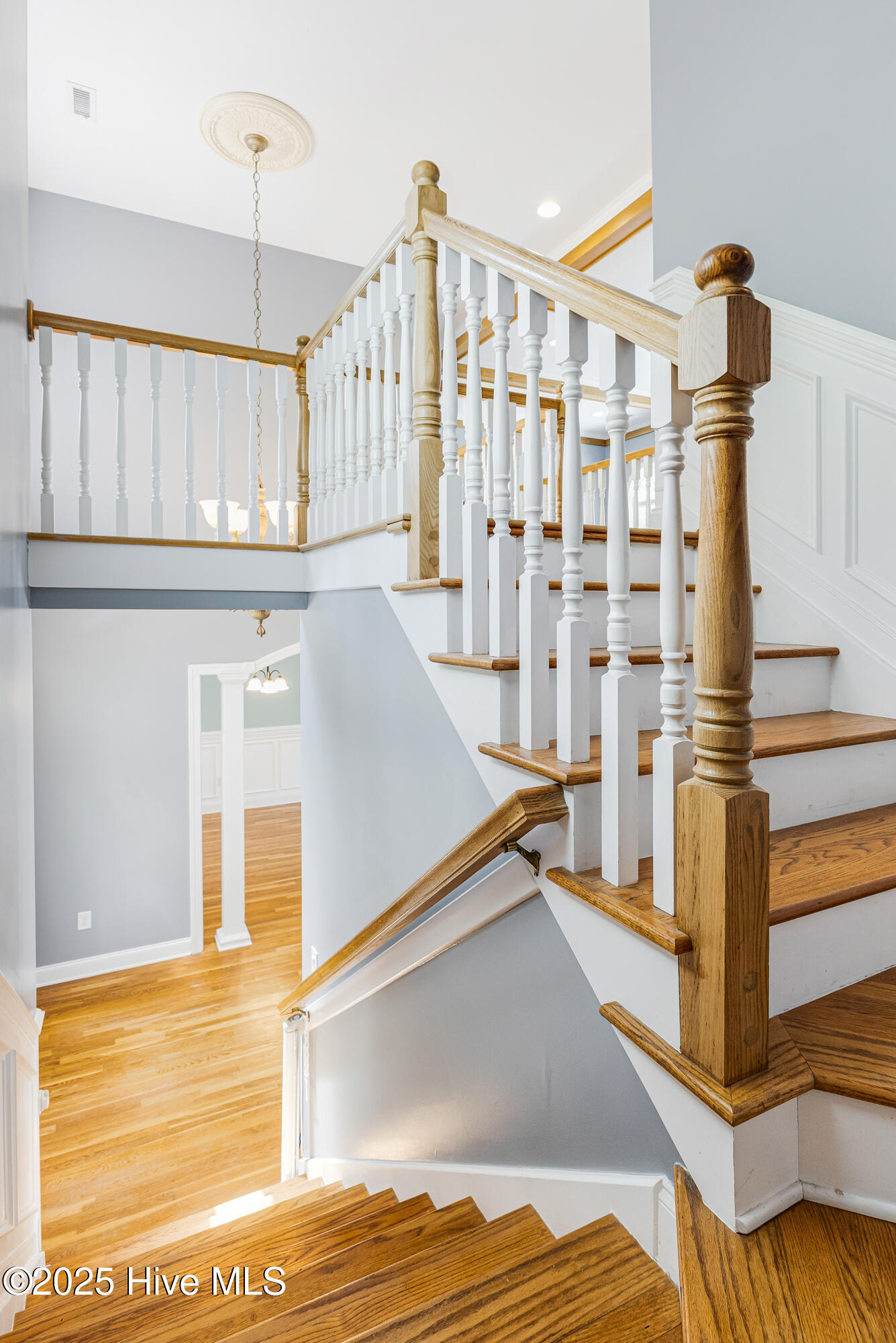 117 Canvasback Point