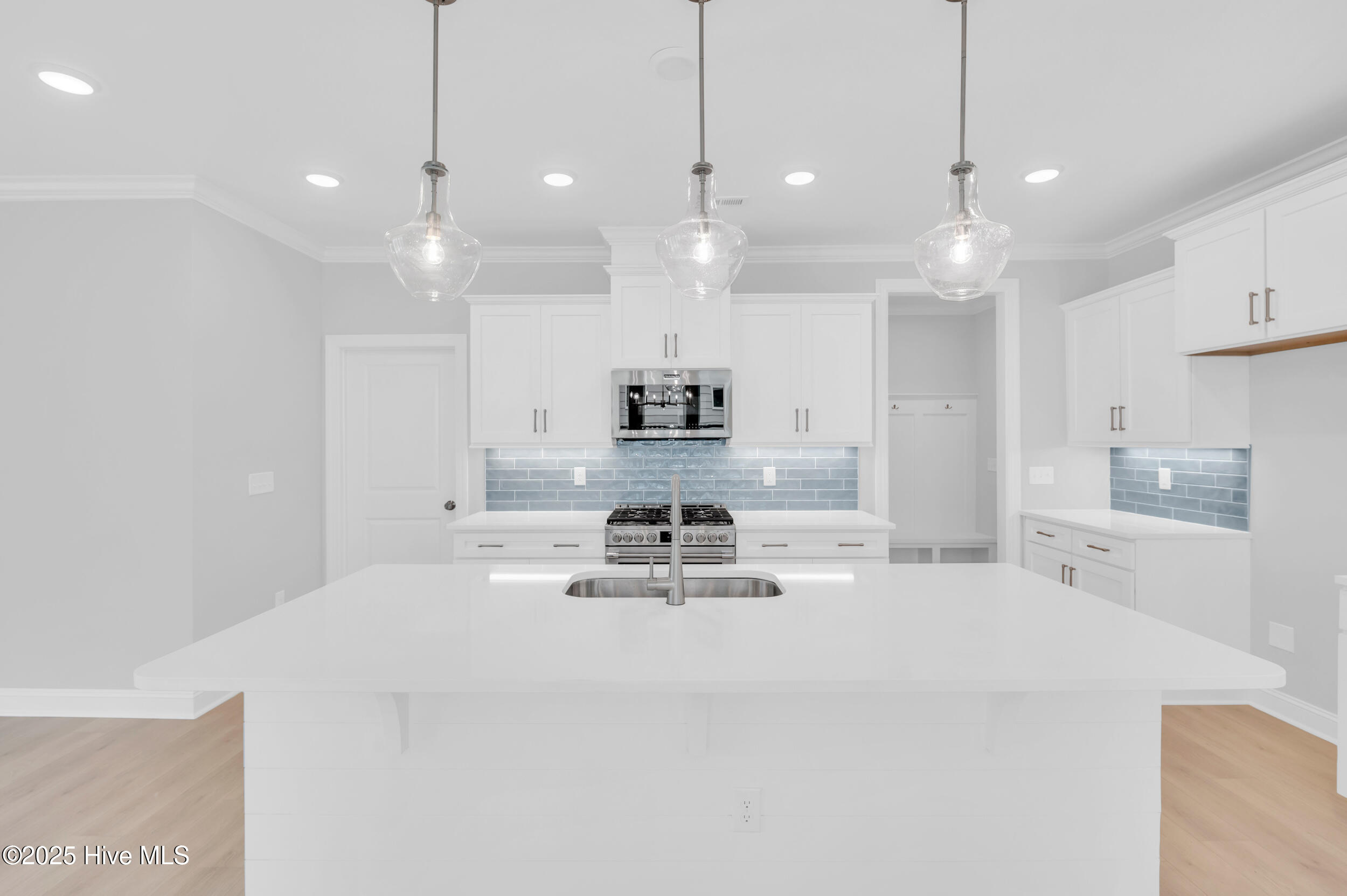 3157 Painted Turtle Loop, 37