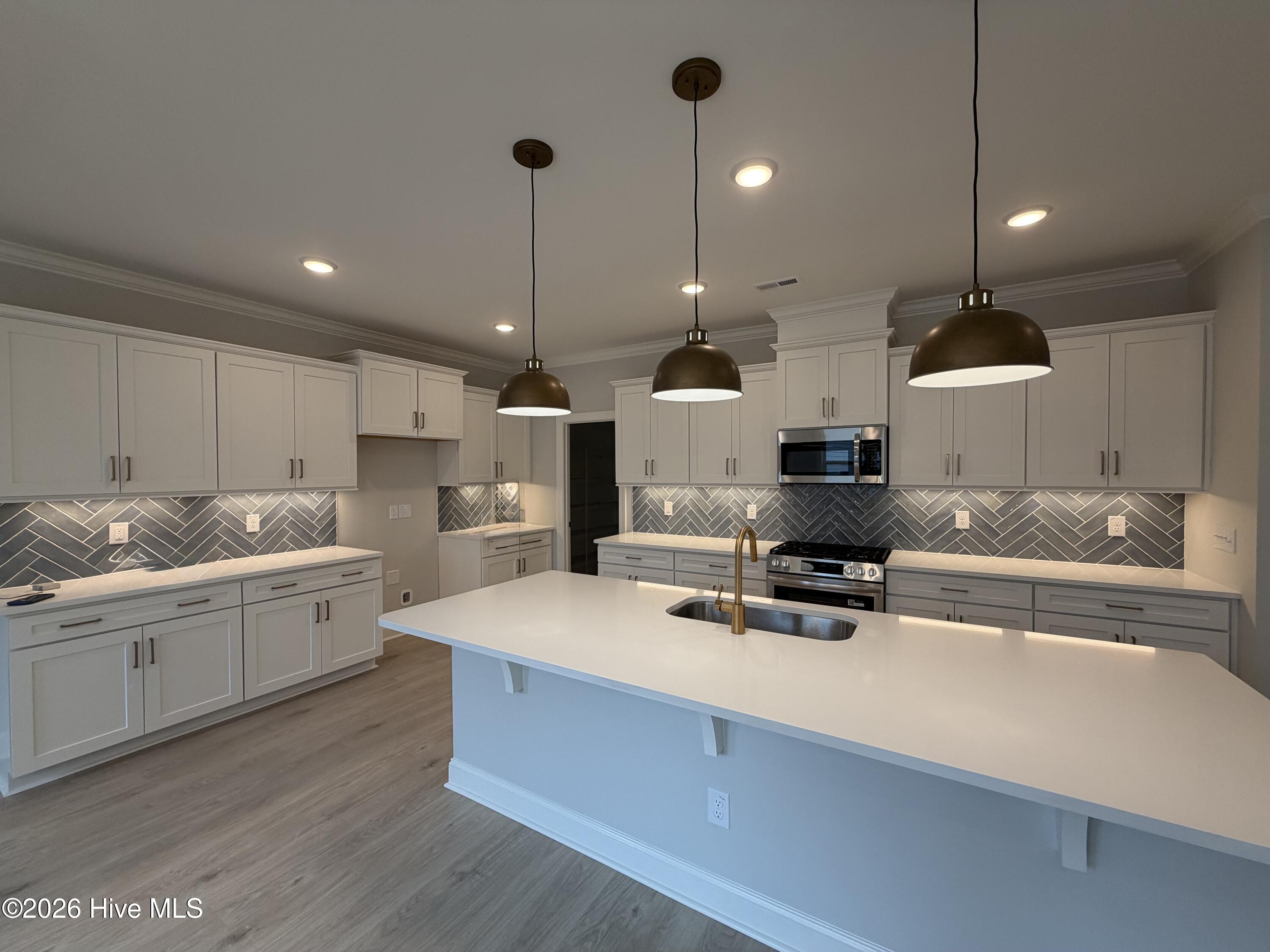 3170 Painted Turtle Loop 4