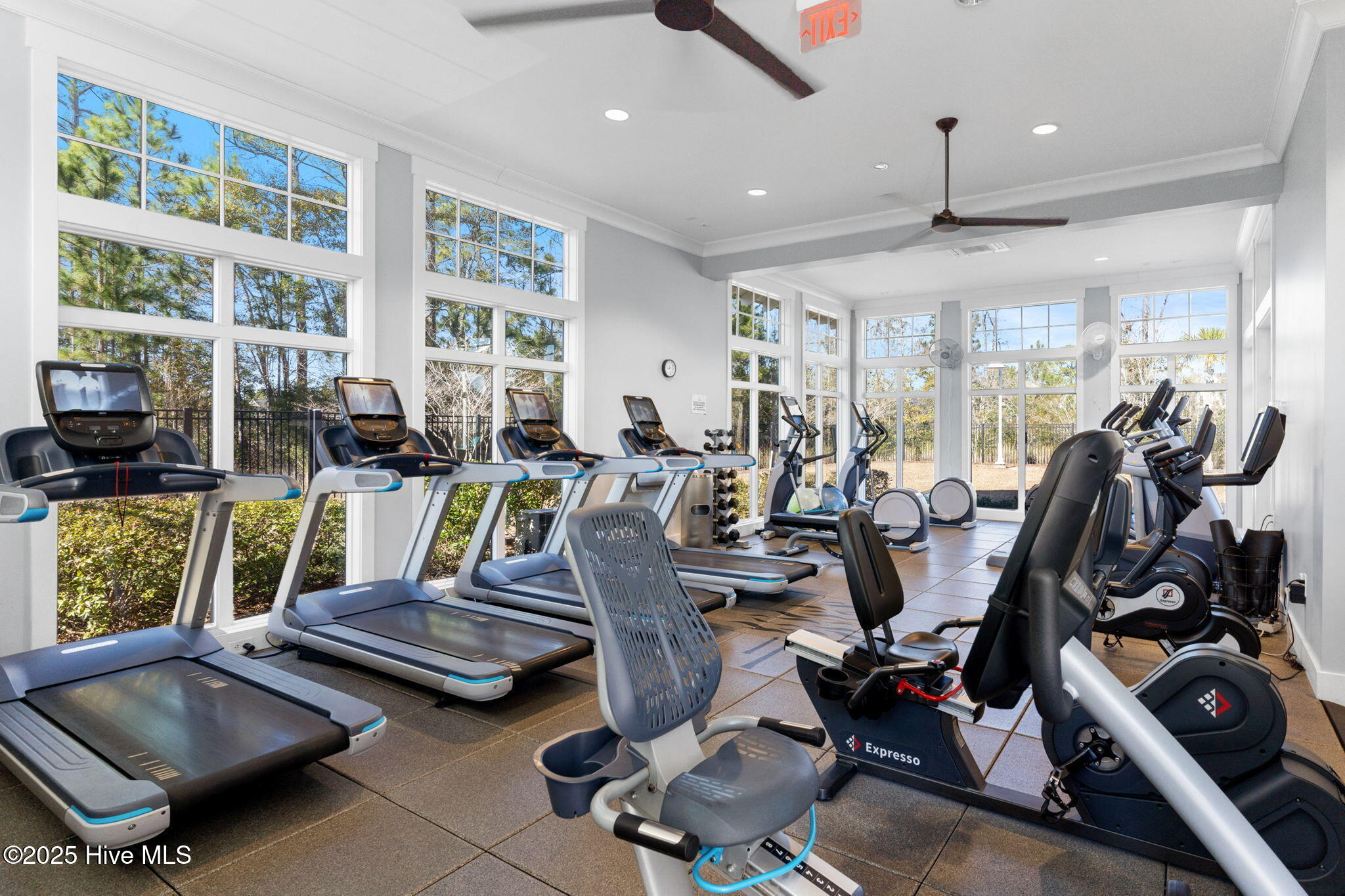 6441 Saxon Meadow Drive