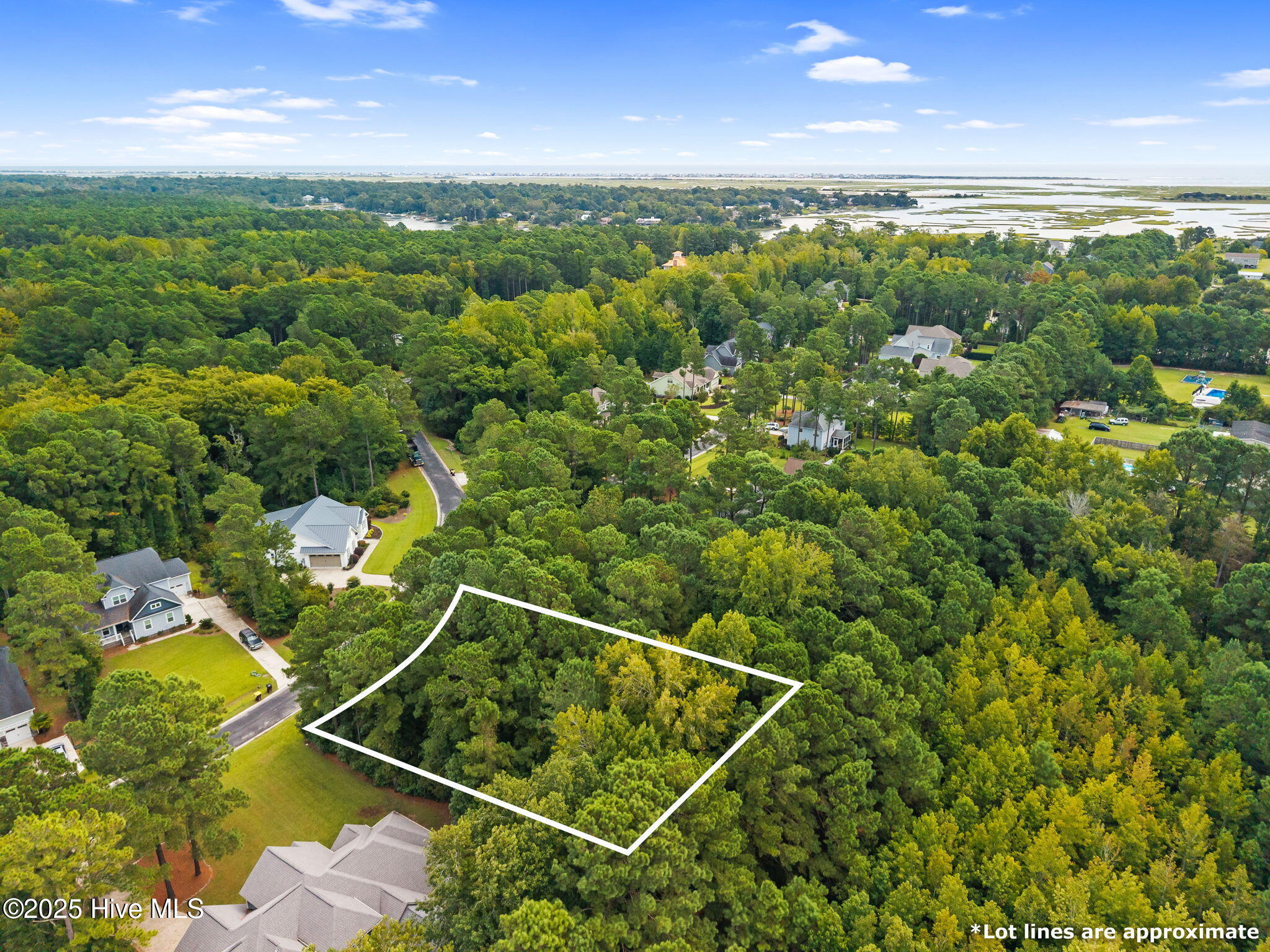 135 135 Hydrangea Lane