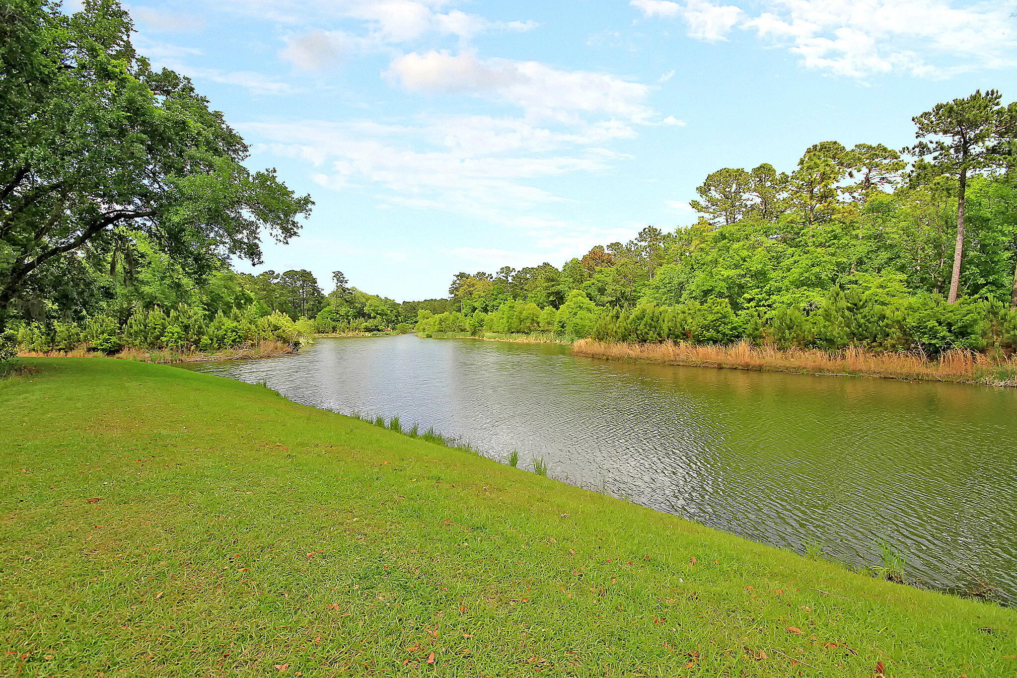 3213 Great Egret Drive