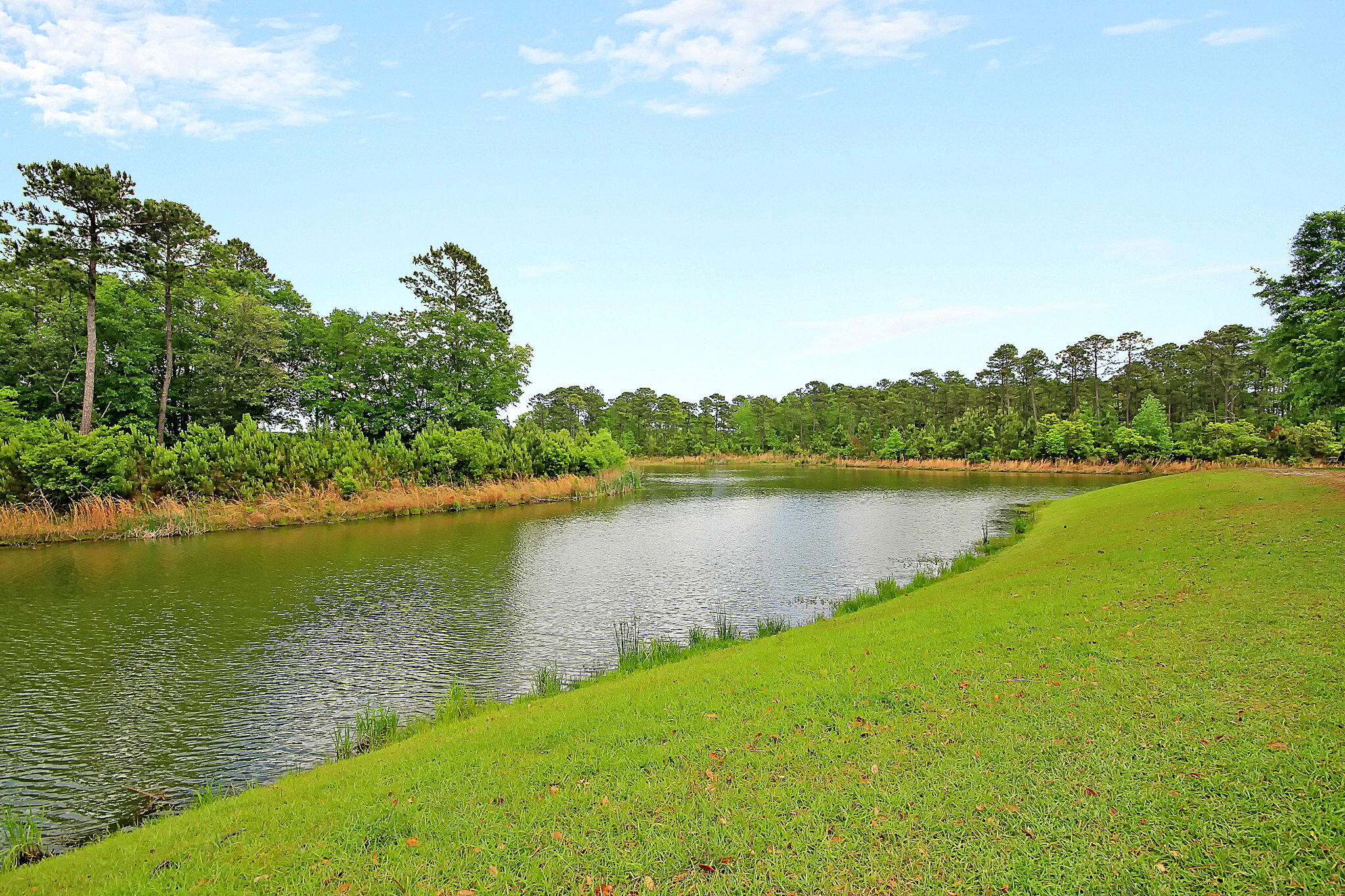 3213 Great Egret Drive