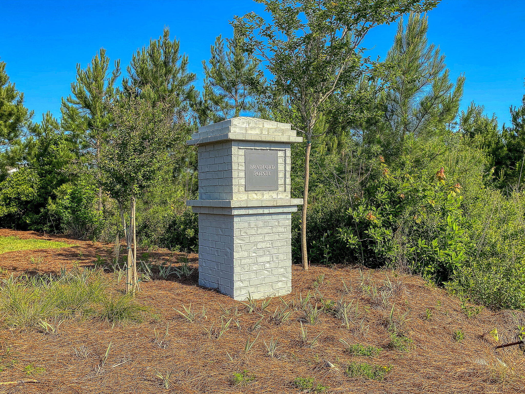 259 W Bradford Pointe Drive