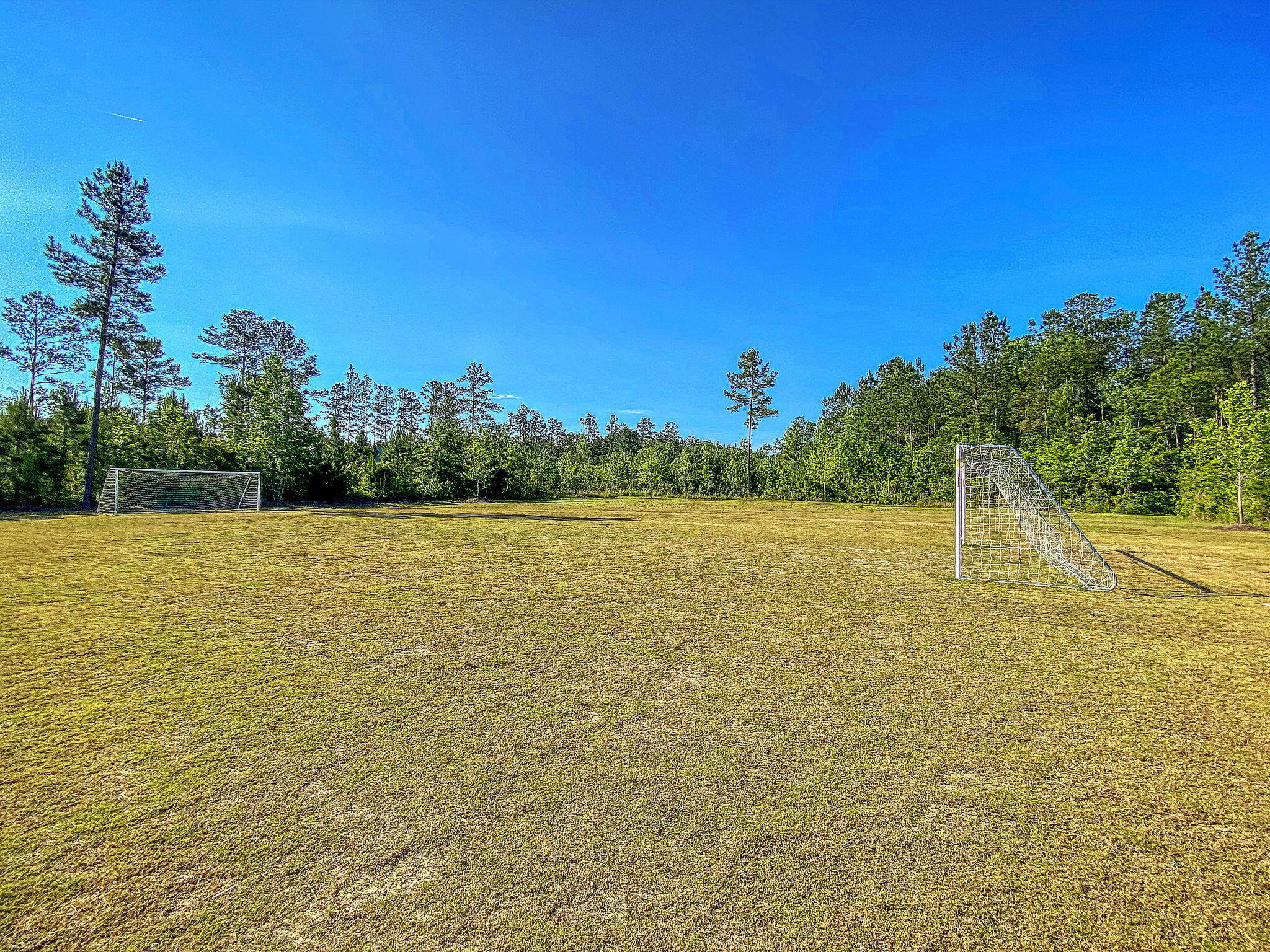 259 W Bradford Pointe Drive