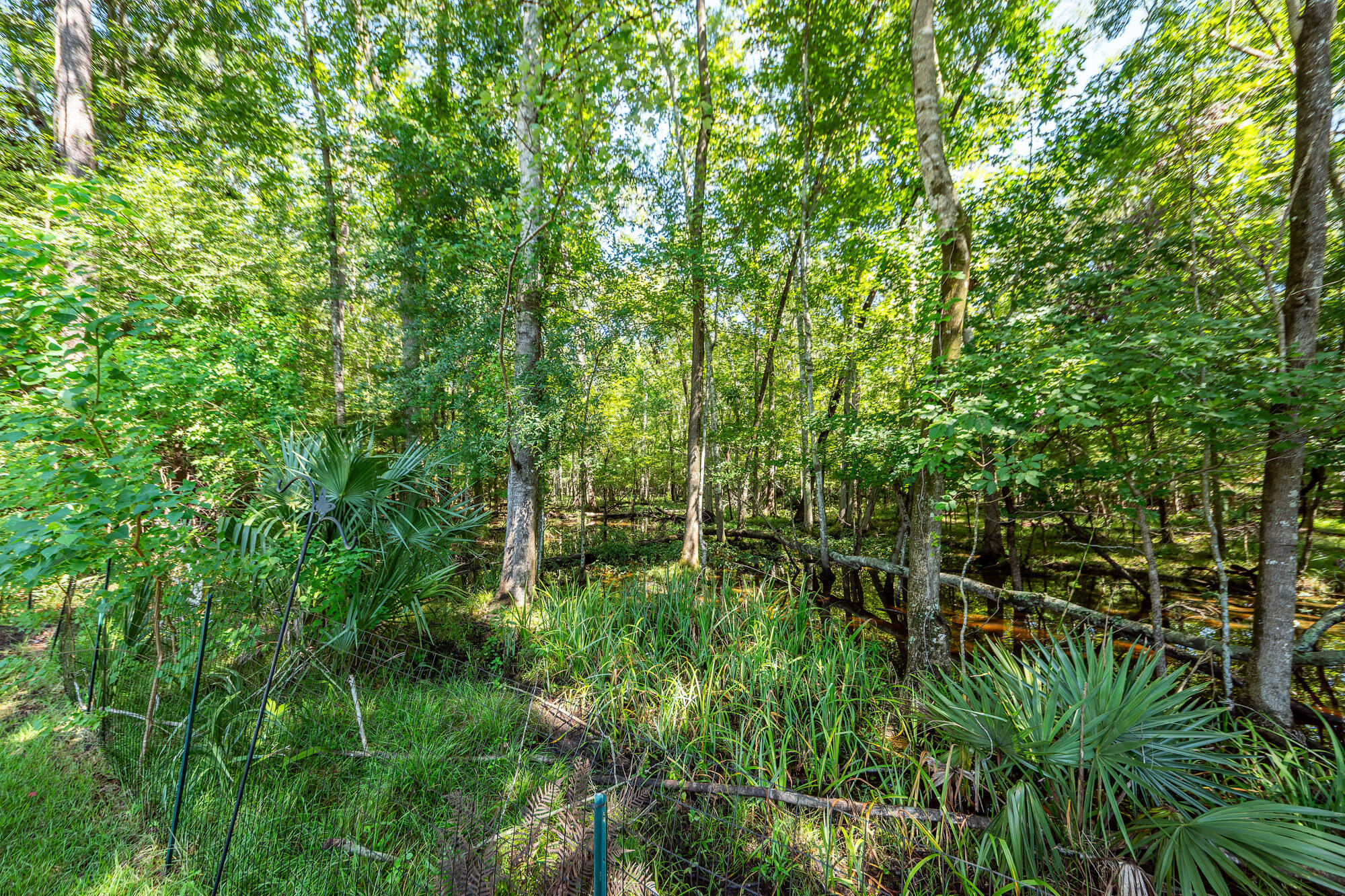 136 Oakbluff Road