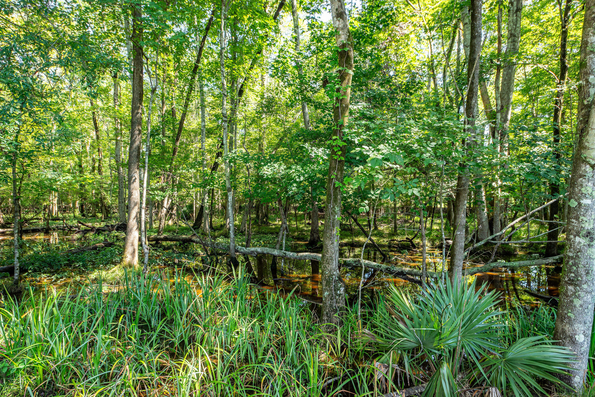 136 Oakbluff Road
