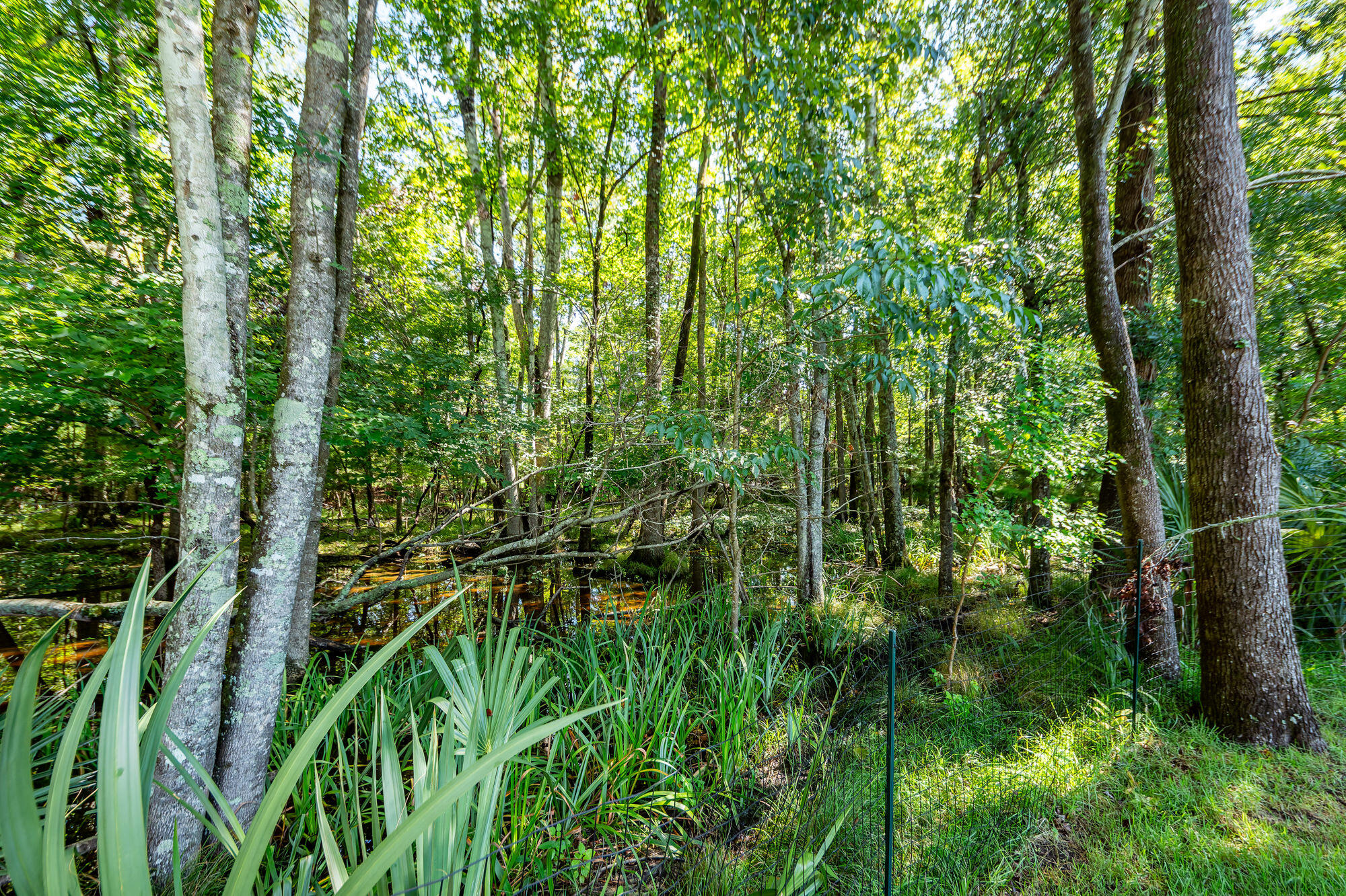 136 Oakbluff Road