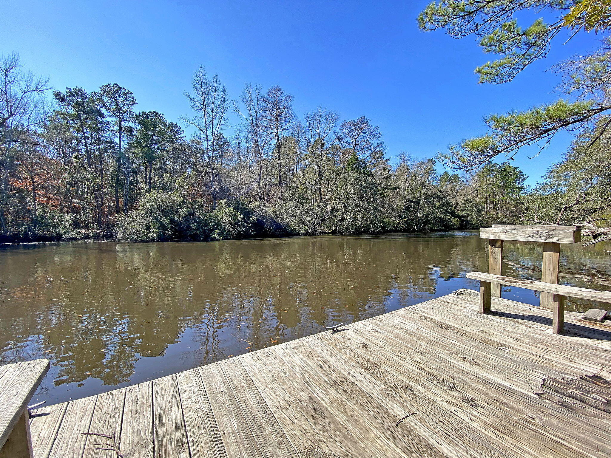 105 Shoveler Place