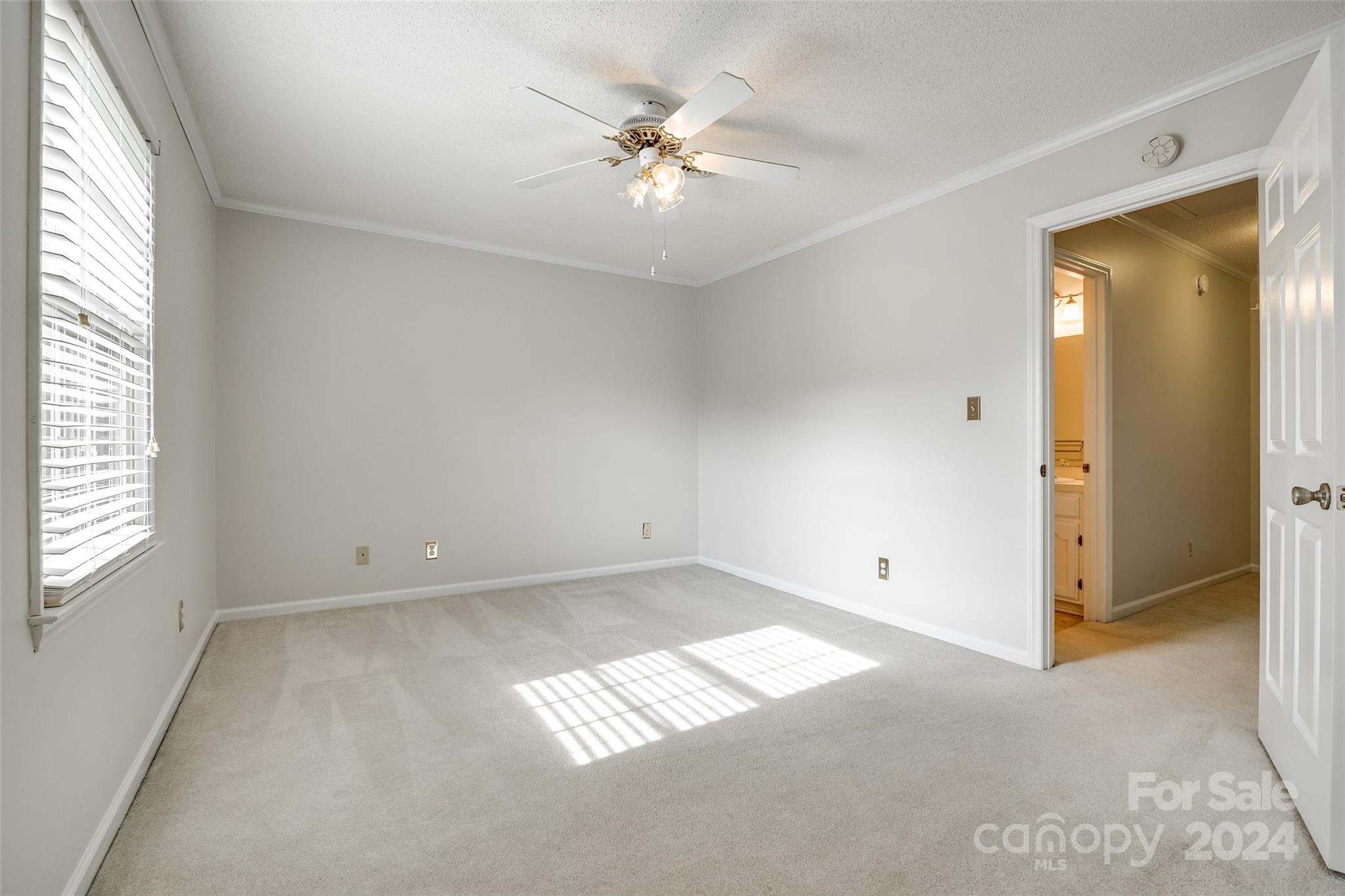 243 Pointe Circle