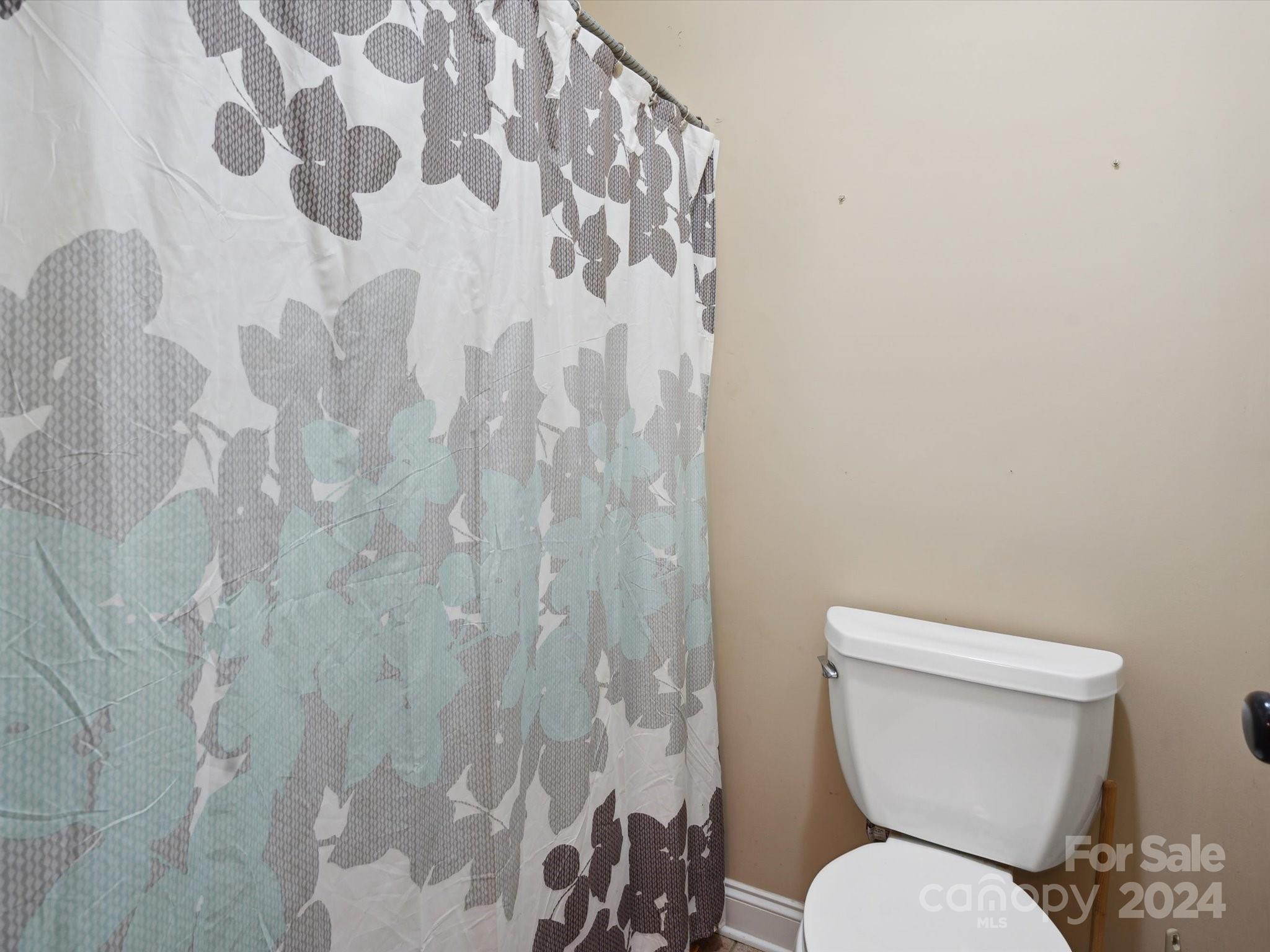 1313 Summer Spring Lane