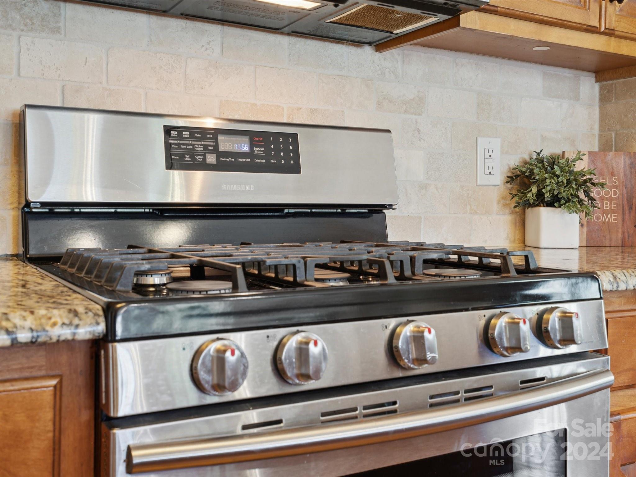 1313 Summer Spring Lane