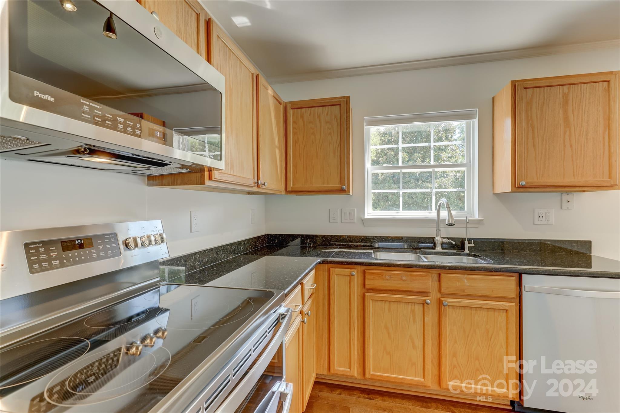 10705 Mountain Springs Drive