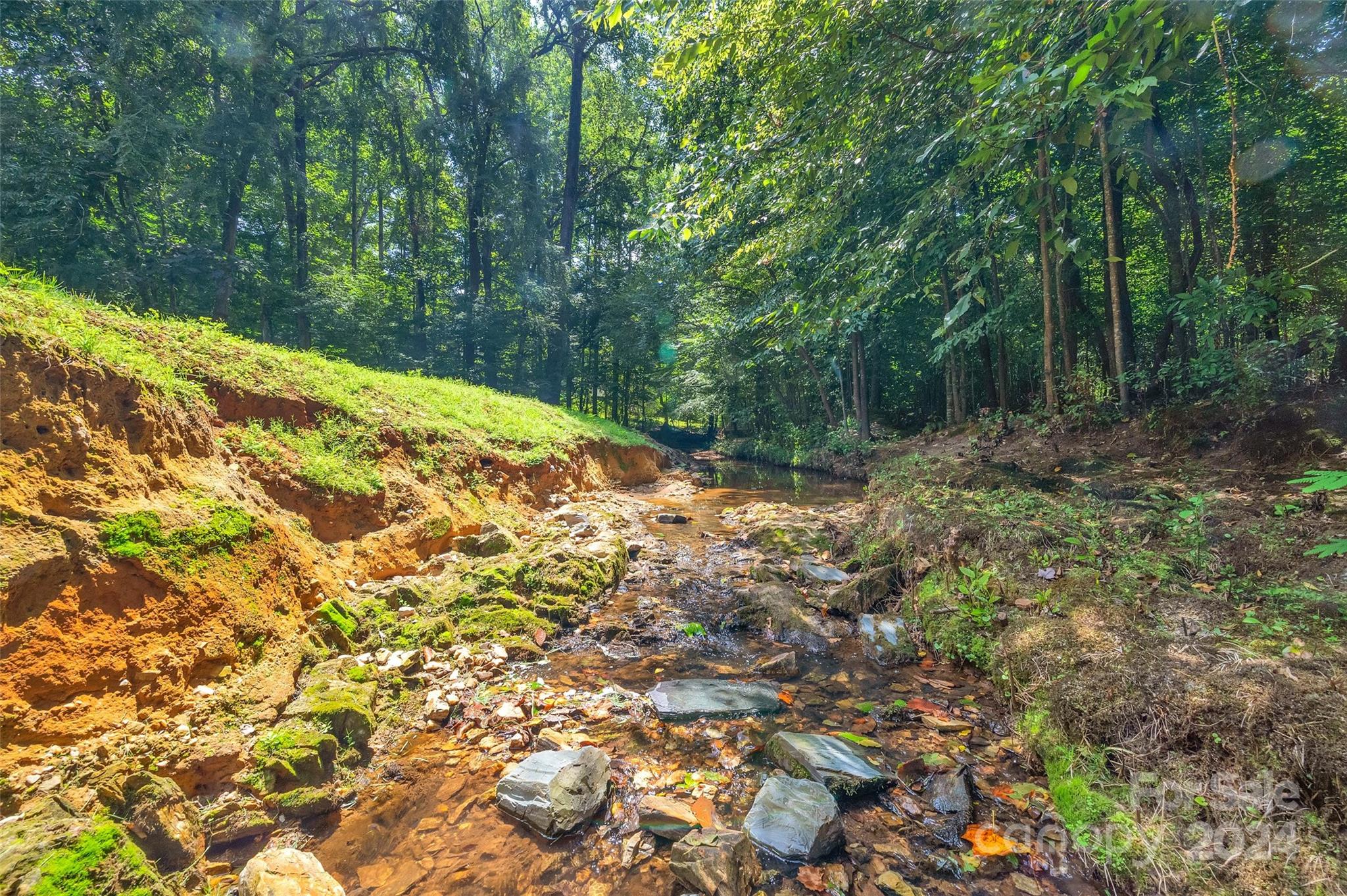 7815 Hollow Oaks Lane