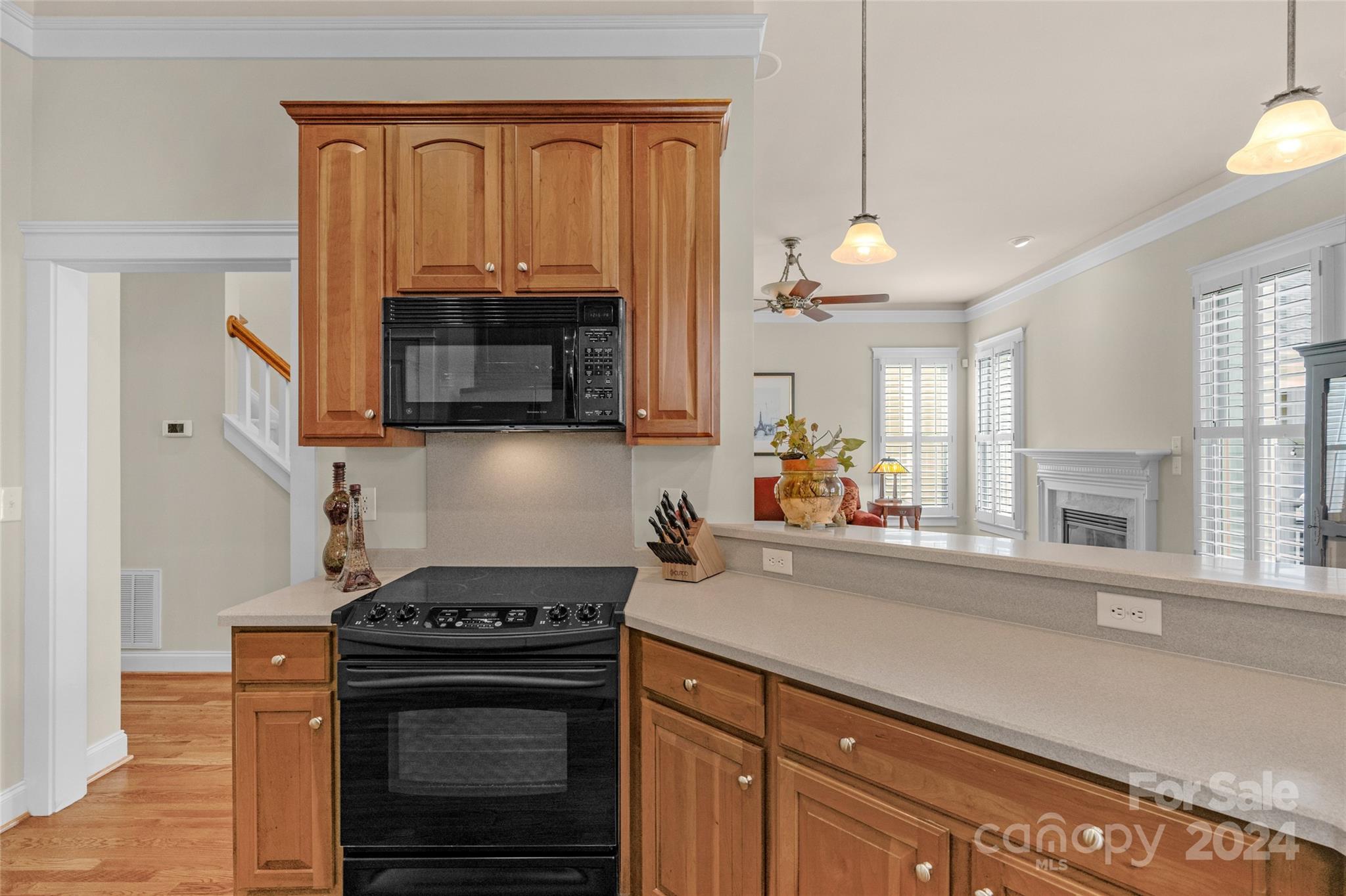 9636 Alma Blount Boulevard