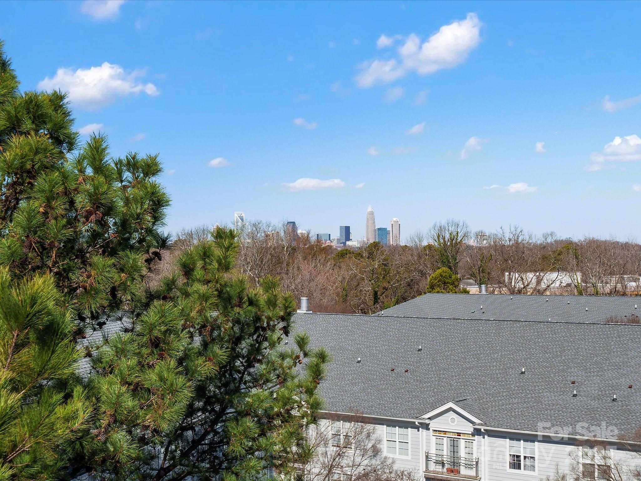 429 Grey Reagan Trail