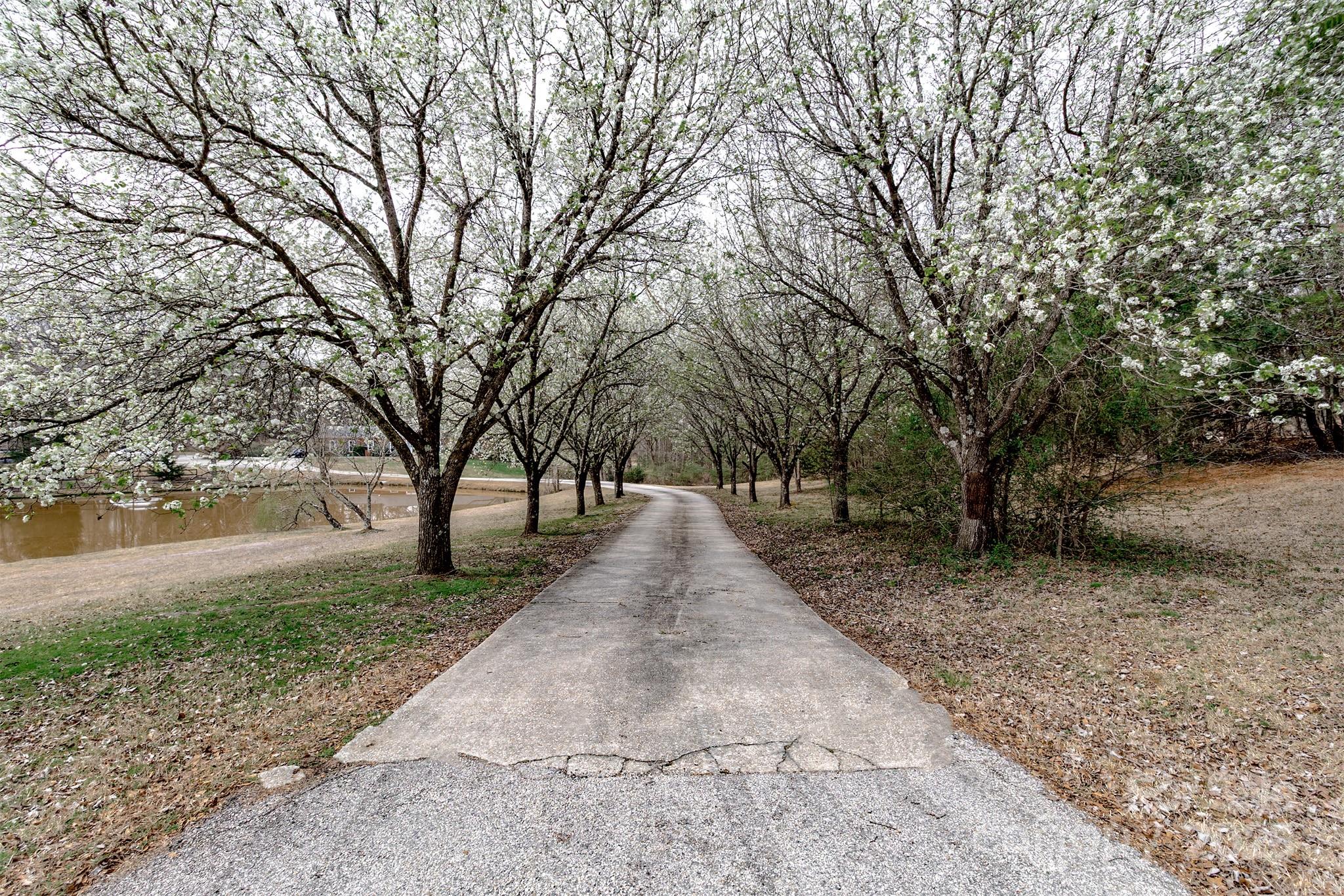 10843 Caroline Acres Road