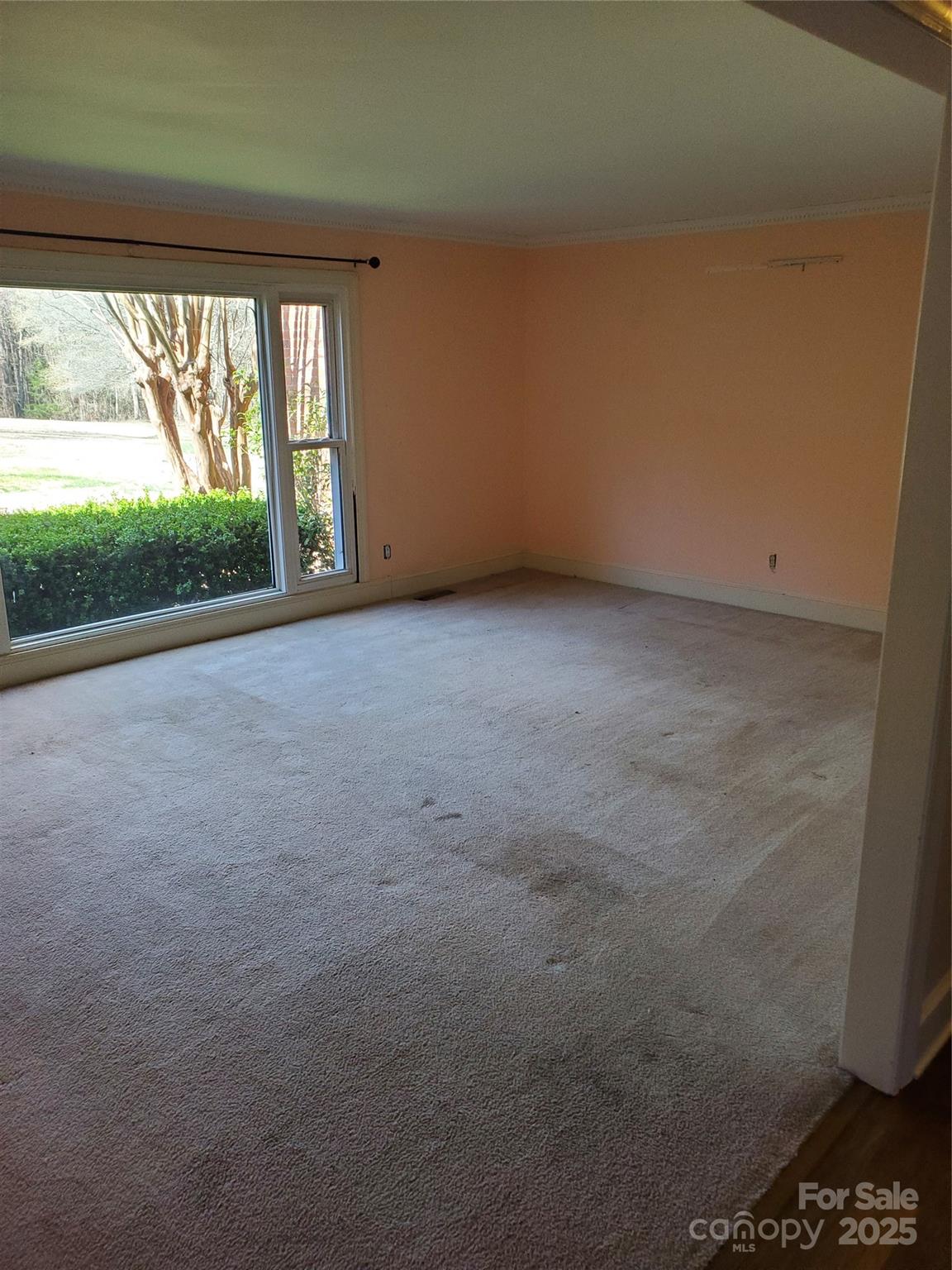 10843 Caroline Acres Road