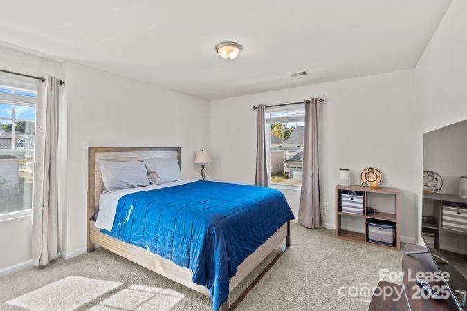 19121 Hawk Haven Lane