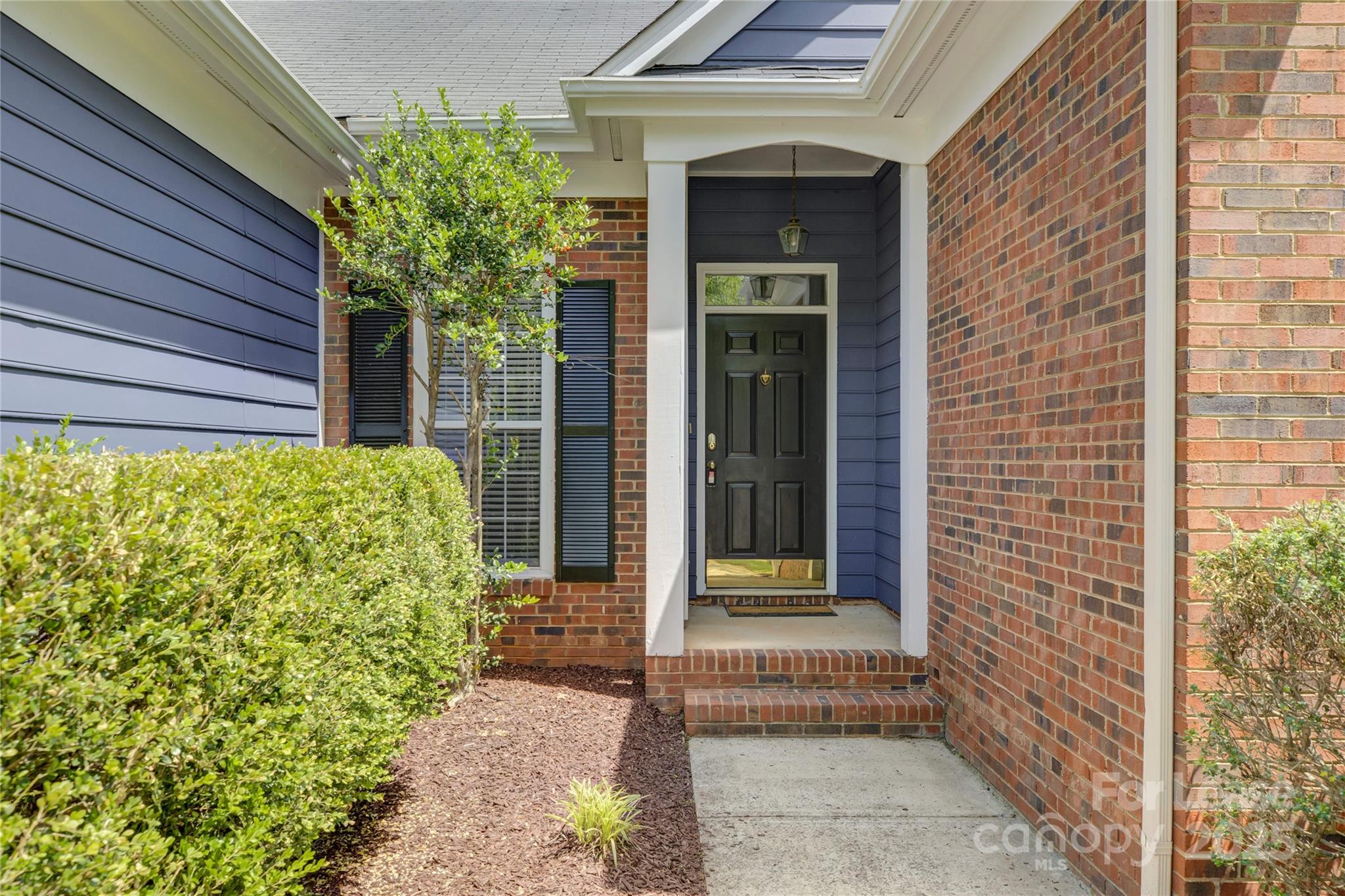 7017 Scuppernong Court