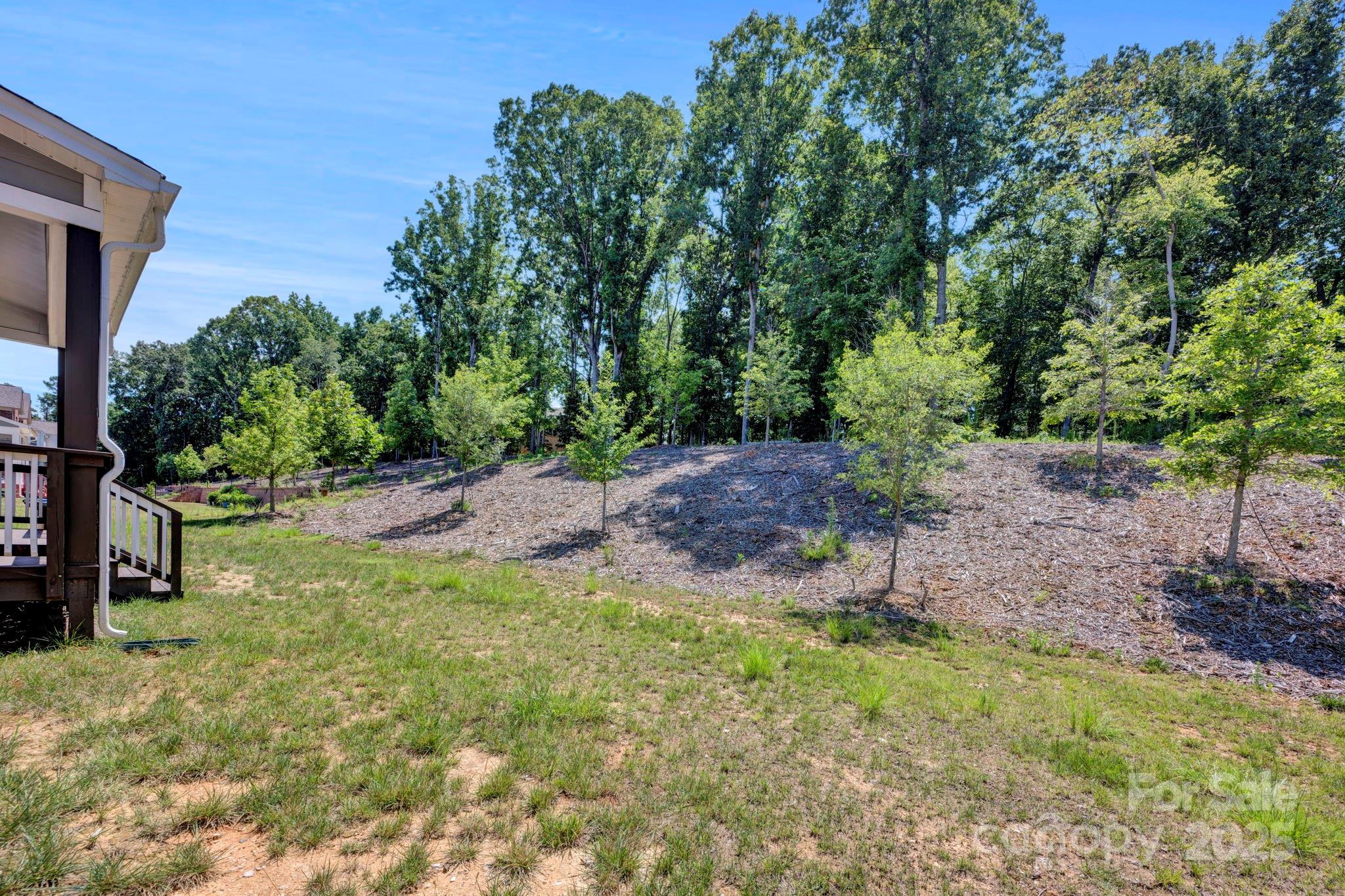 2017 Belle Grove Drive