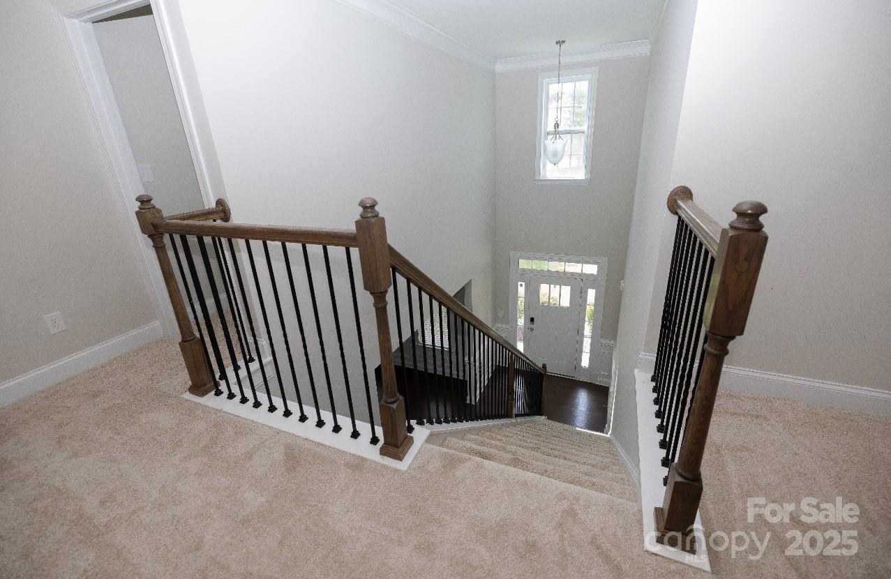 128 Carolina Ash Lane