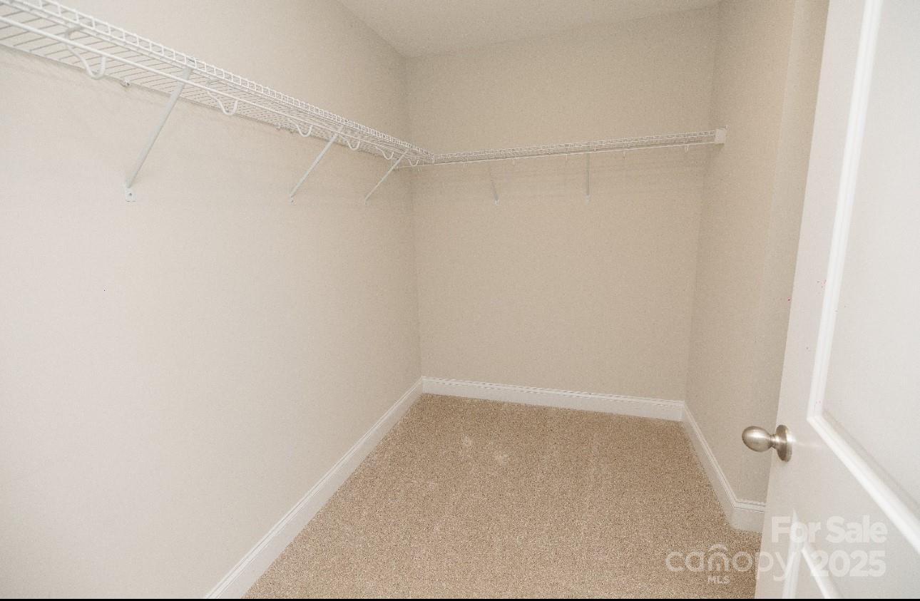 128 Carolina Ash Lane