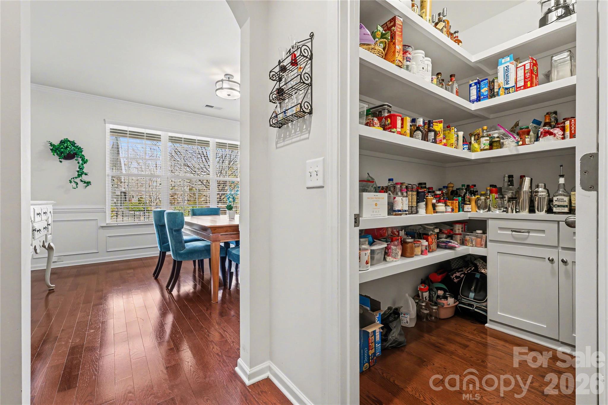 1113 Snowbird Lane