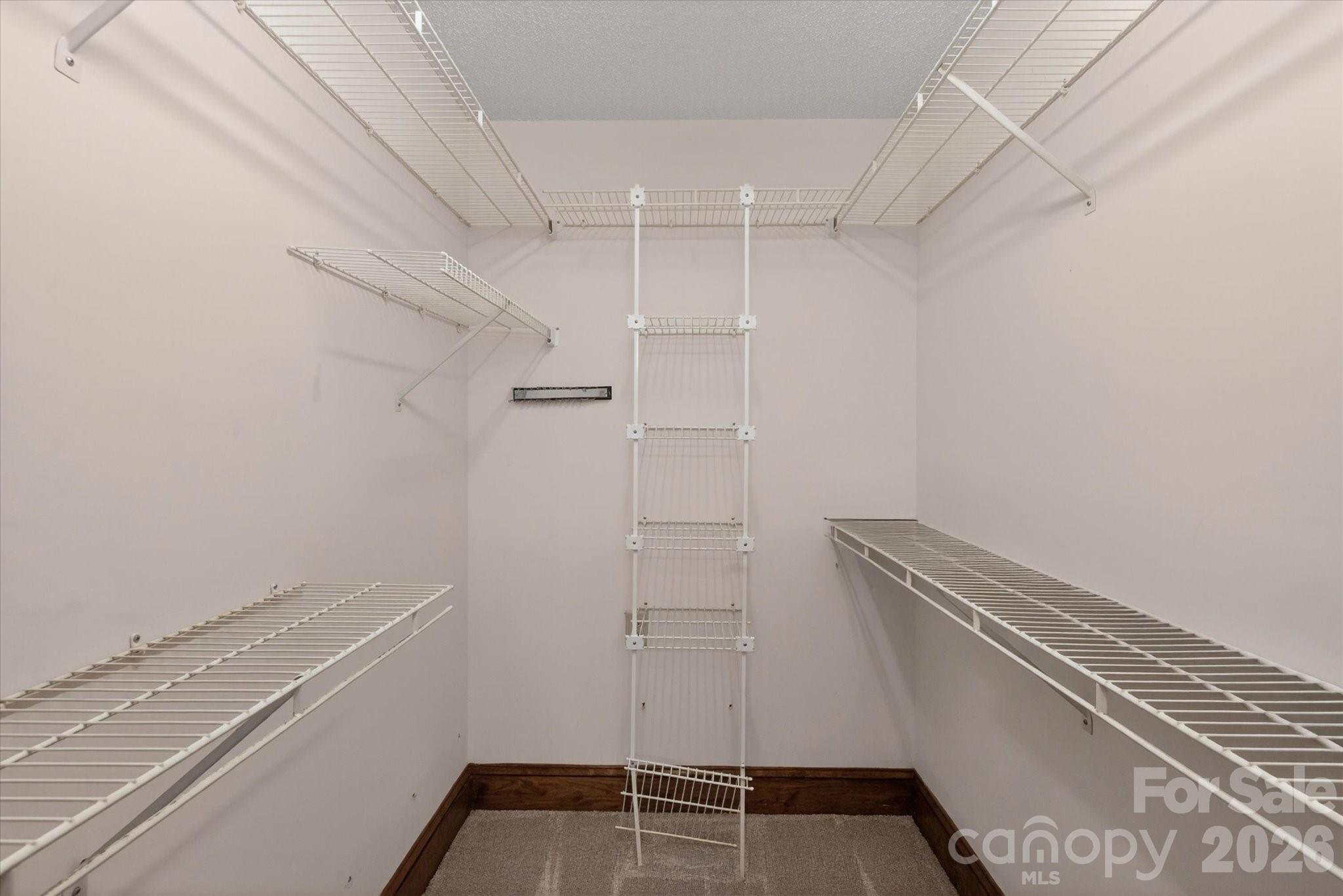 8149 Shannon Woods Lane