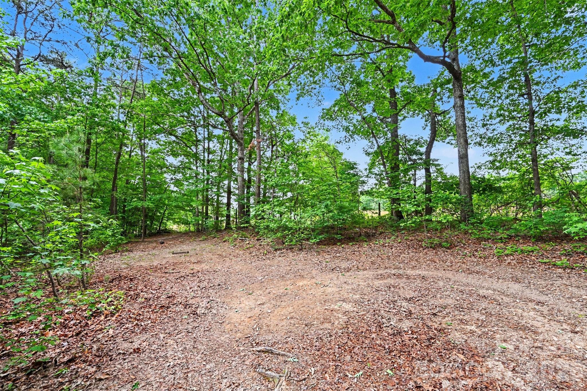 20146 Bantam Road