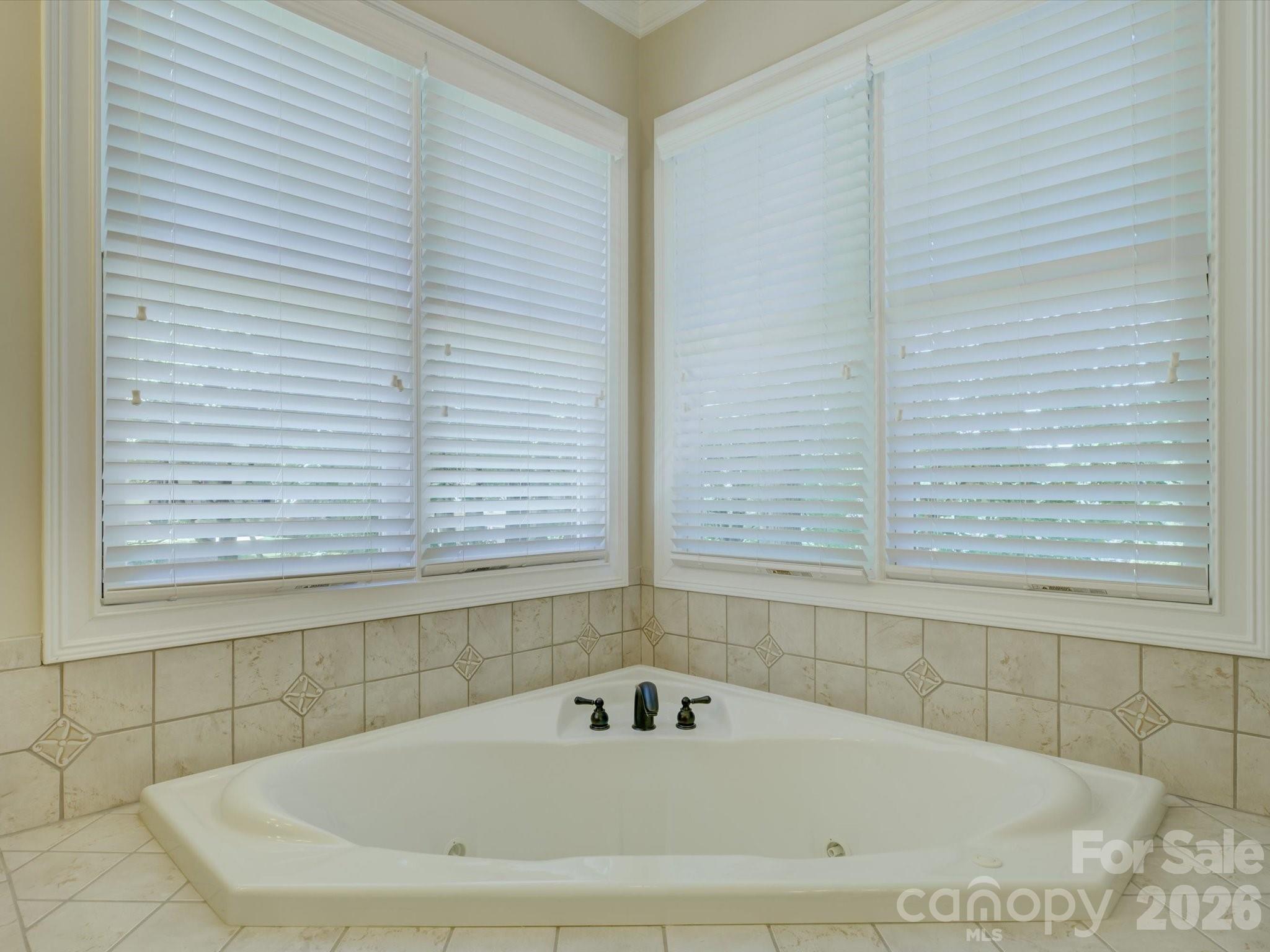 3912 Lake Spring Cove Court