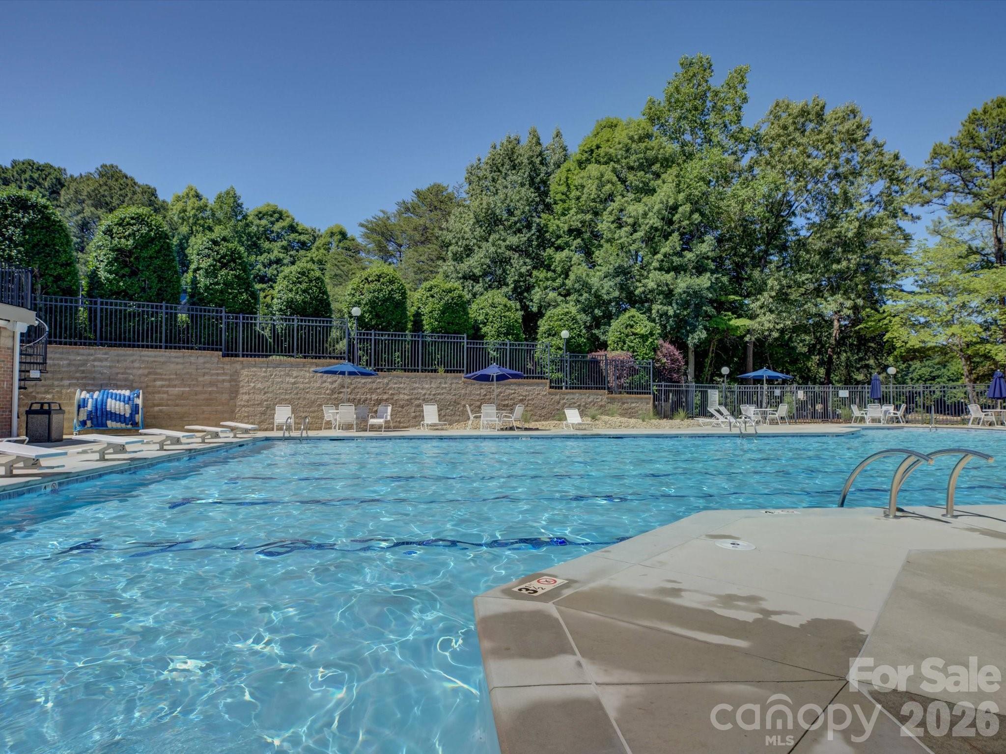 3912 Lake Spring Cove Court
