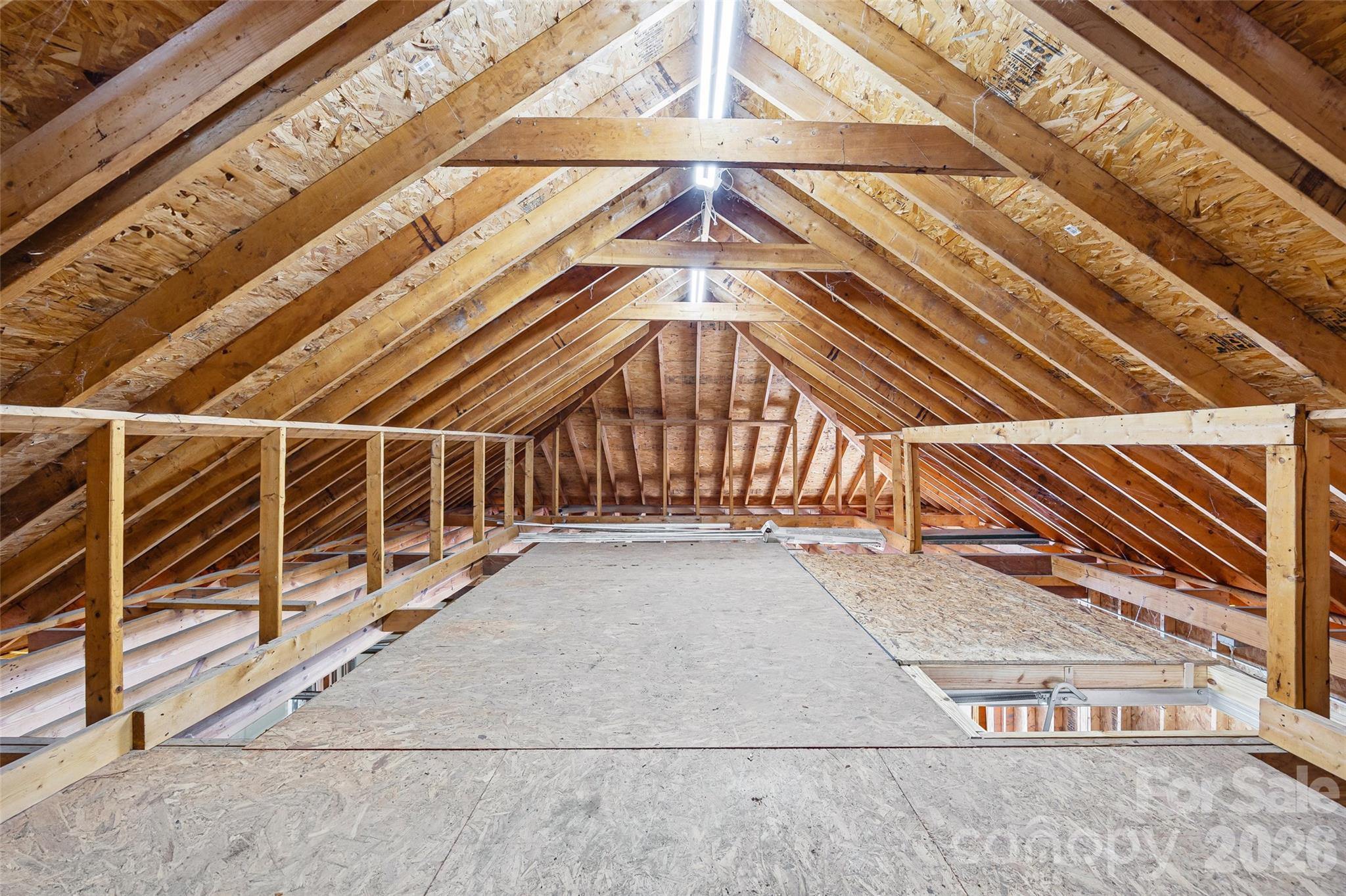 3429 Thoroughbred Lane