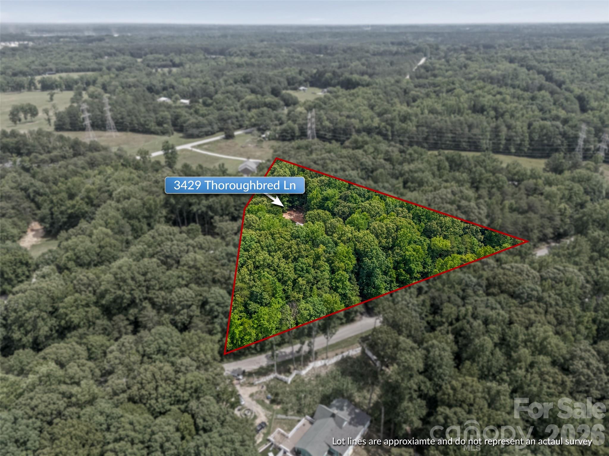 3429 Thoroughbred Lane